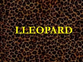 LLEOPARD
 