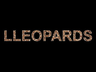Lleopards