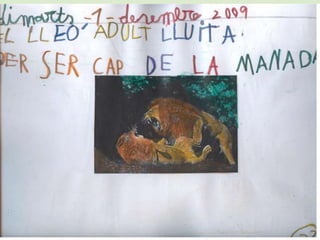 PROJECTE DE TREBALL:EL LLEÓ