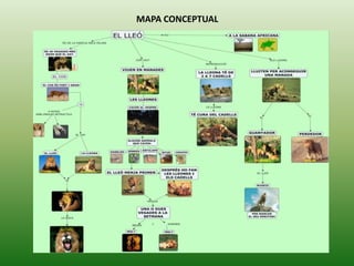 MAPA CONCEPTUAL