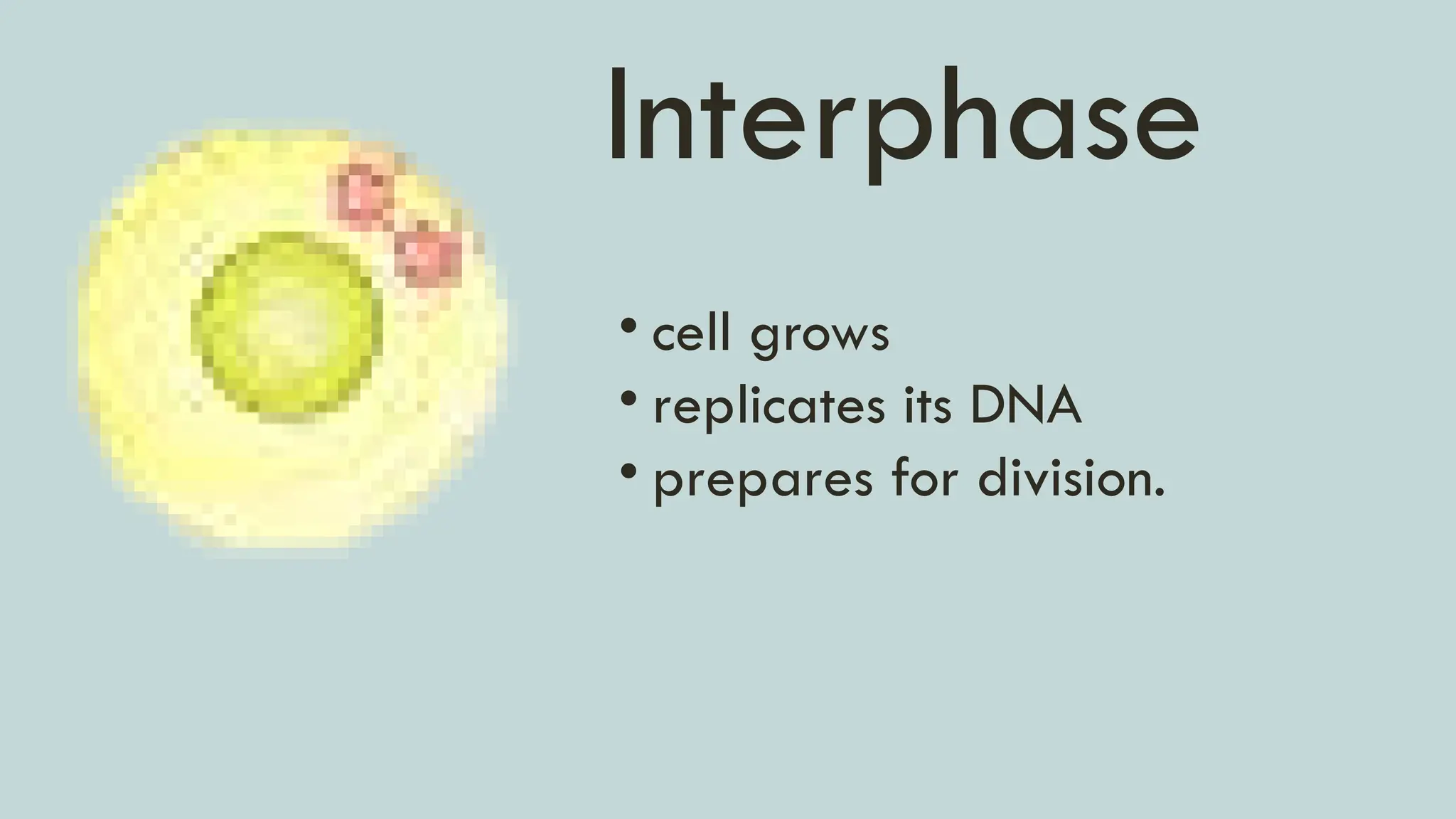 Embark on a journey of cell division and it's stages | PPTX