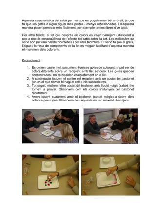 Aquesta característica del sabó permet que es pugui rentar bé amb ell, ja que
fa que les gotes d’aigua siguin més petites i menys cohesionades, i d’aquesta
manera poden penetrar més fàcilment, per exemple, en les fibres d’un teixit.

Per altra banda, el fet que després els colors es vagin barrejant i dissolent a
poc a poc és conseqüència de l’efecte del sabó sobre la llet. Les molècules de
sabó són per una banda hidròfobes i per altra hidròfiles. El sabó fa que el greix,
l’aigua i la resta de components de la llet es moguin facilitant d’aquesta manera
el moviment dels colorants.


Procediment

   1. Es deixen caure molt suaument diverses gotes de colorant, si pot ser de
      colors diferents sobre un recipient amb llet sencera. Les gotes queden
      concentrades i no es dissolen completament en la llet.
   2. A continuació toquem el centre del recipient amb un costat del bastonet
      (un en el què només hi hagi el cotó). No succeeix res.
   3. Tot seguit, mullem l’altre costat del bastonet amb líquid màgic (sabó) i ho
      tornem a provar. Observem com els colors s’allunyen del bastonet
      ràpidament.
   4. Anem tocant suaument amb el bastonet (costat màgic) a sobre dels
      colors a poc a poc. Observem com aquests es van movent i barrejant.
 