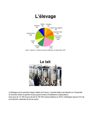 L’élevage

Le lait

La Bretagne est la première région laitière de France. L'activité laitière est répartie sur l’ensemble
du territoire breton et génère le plus grand nombre d'installations d’agriculteurs.
Avec plus de 14 180 livreurs de lait et 730 700 vaches laitières en 2010, la Bretagne assure 21% de
la production nationale de lait de vache.

 