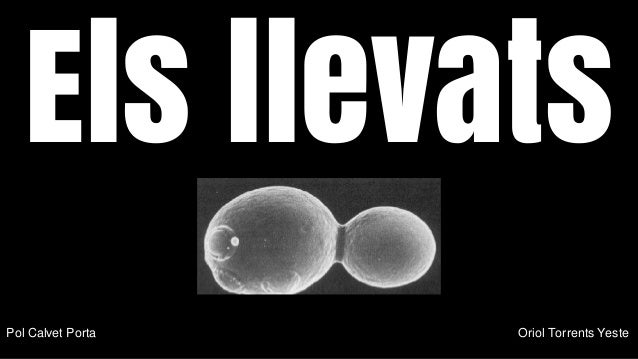 llevats torrents powerpoint