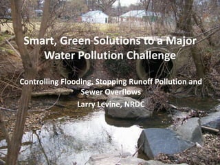 Smart, Green Solutions to a Major
    Water Pollution Challenge

Controlling Flooding, Stopping Runoff Pollution and
                 Sewer Overflows
                Larry Levine, NRDC
 