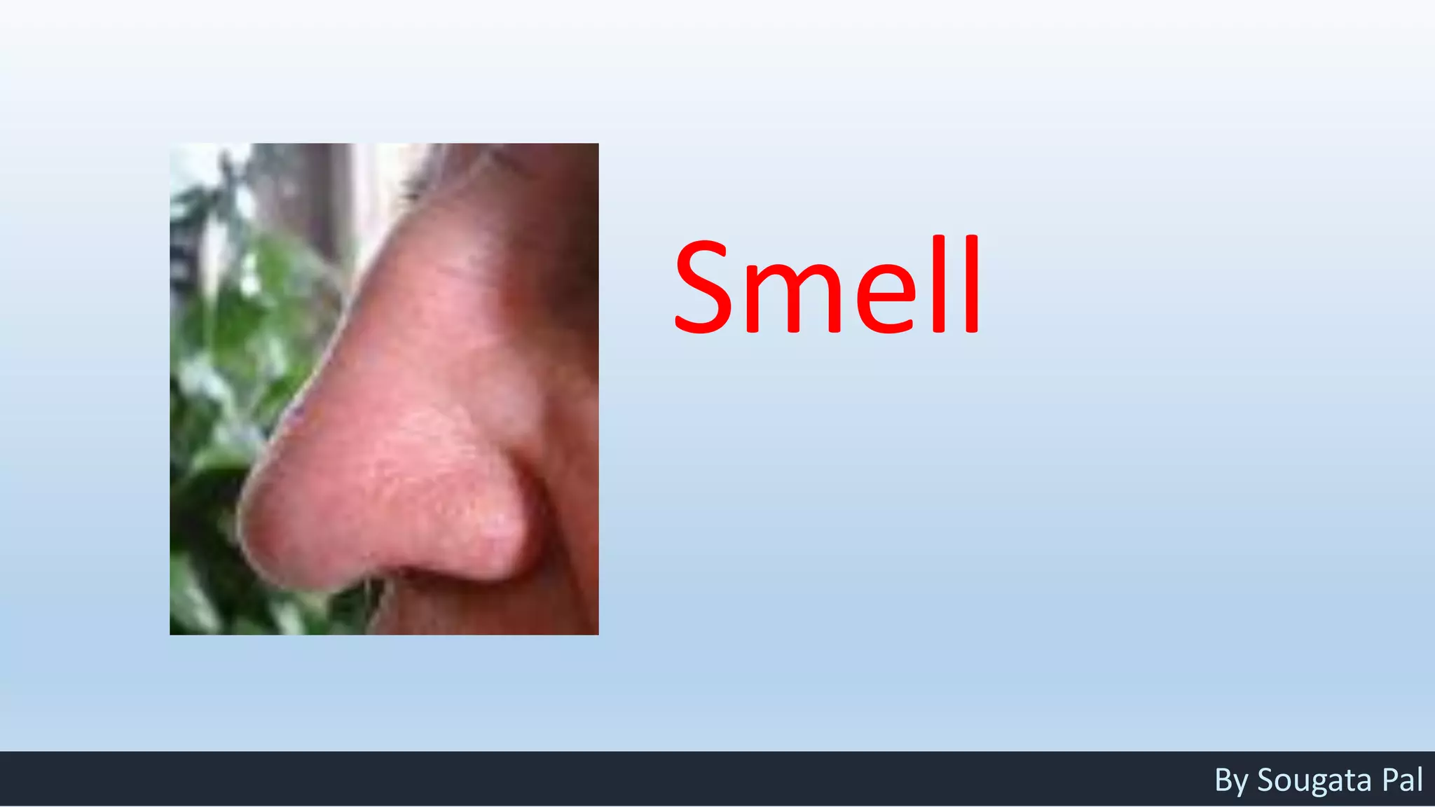 Look Listen Feel (LLF) by Sougata Pal | PDF