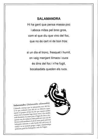 FERES ENCISERES Ricard Bonmatí