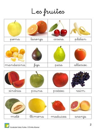 Vocabulari bàsic fruites © Emilia Alcaraz 
2 
Les fruites 
poma taronja cirera plàtan 
mandarina figa pera albercoc 
síndria pruna préssec raïm 
meló llimona maduixa aranja 
 