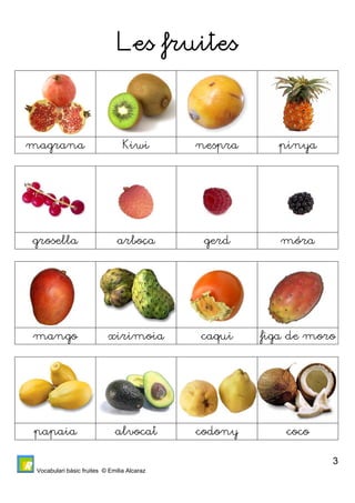 Vocabulari bàsic fruites © Emilia Alcaraz 
3 
Les fruites 
magrana Kiwi nespra pinya 
grosella arboça gerd móra 
mango xirimoia caqui figa de moro 
papaia alvocat codony coco 
 