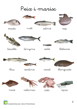 Vocabulari bàsic peix i marisc © Emilia Alcaraz 
2 
Peix i marisc 
orada moll salmó rap 
bacallà tonyina seitó llobarro 
lluç sardina verat llenguado 
nero calamar pop sípia 
 