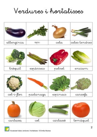 Vocabulari bàsic verdures i hortalisses © Emilia Alcaraz 
2 
Verdures i hortalisses 
albergínia api ceba cebes tendres 
bròquil espàrrecs pebrot enciam 
col-i-flor pastanaga espinacs carxofa 
carbassa col carbassó tomàquet 
 
