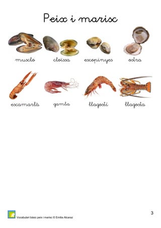 Vocabulari bàsic peix i marisc © Emilia Alcaraz 
3 
Peix i marisc 
musclo cloïssa escopinyes ostra 
escamarlà gamba llagostí llagosta 
 