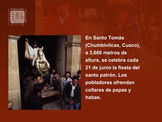 En Santo Tomás
(Chumbivilcas, Cusco),
a 3,660 metros de
altura, se celebra cada
21 de junio la fiesta del
santo patrón. Lo...