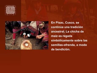 En Pisac, Cusco, se
continúa una tradición
ancestral. La chicha de
maíz es regada
simbólicamente sobre las
semillas-ofrend...