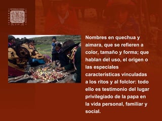 Nombres en quechua y
aimara, que se refieren a
color, tamaño y forma; que
hablan del uso, el origen o
las especiales
carac...