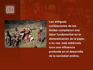 Las antiguas
civilizaciones de los
Andes cumplieron una
labor fundamental en la
domesticación de la papa;
a su vez, este t...