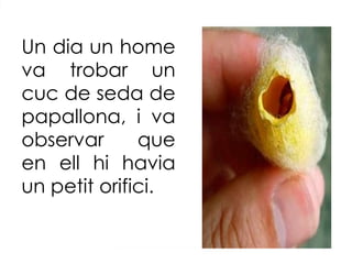 Un dia un home va trobar un cuc de seda de papallona, i va observar que en ell hi havia un petit orifici.  