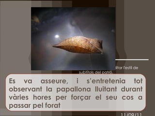 Es va asseure, i s’entretenia tot observant la papallona lluitant durant vàries hores per forçar el seu cos a passar pel forat 