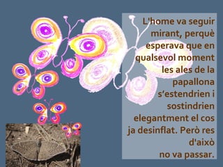 L'home va seguir mirant, perquè esperava que en qualsevol moment les ales de la papallona s’estendrien i sostindrien elegantment el cos ja desinflat. Però res d'això no va passar. 