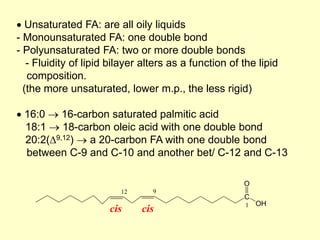  Unsaturated FA: are all oily liquids
- Monounsaturated FA: one double bond
- Polyunsaturated FA: two or more double bonds
- Fluidity of lipid bilayer alters as a function of the lipid
composition.
(the more unsaturated, lower m.p., the less rigid)
 16:0  16-carbon saturated palmitic acid
18:1  18-carbon oleic acid with one double bond
20:2(9,12)  a 20-carbon FA with one double bond
between C-9 and C-10 and another bet/ C-12 and C-13
cis
cis
C
OH
1
9
12
O
 