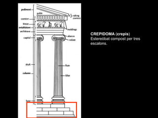 CREPIDOMA (crepis)
Estereòbat compost per tres
escalons.
 