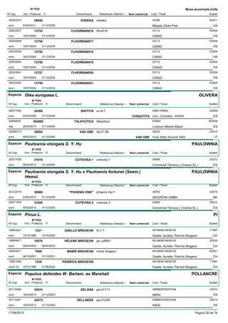 DenominacióNº Exp. Nom comercial Codi / Titular Butlletí
Nº POV
Inici Protecció Fi Referència Obtentor /
Musa acuminata Colla
CHEEKA2008/2919 cheeka 04786
Magaly Zaias-Fasteuro
4/201129956
23/05/2011 US31/12/2036
FLHORBAN9162002/0537 flhor916 03112
CIRADeuro
5/200413753
19/07/2004 FR31/12/2034
FLHORBAN9172002/0538 03112
CIRADeuro
5/200413754
19/07/2004 FR31/12/2034
FLHORBAN9182002/0539 03112
CIRADeuro
5/200413755
19/07/2004 FR31/12/2034
FLHORBAN9192002/0540 03112
CIRADeuro
5/200413756
19/07/2004 FR31/12/2034
FLHORBAN9202002/0541 03112
CIRADeuro
5/200413757
19/07/2004 FR31/12/2034
FLHORBAN9212002/0542 03112
CIRADeuro
5/200413758
19/07/2004 FR31/12/2034
Especie Olea europaea L.
DenominacióNº Exp. Nom comercial Codi / Titular Butlletí
Nº POV
Inici Protecció Fi Referència Obtentor /
OLIVERA
SIKITITA2007/1040 uc-8-7 05851/05854
Univ. Córdoba - IFAPAeuro
3/200924380
23/03/2009 CHIQUITITA ES31/12/2039
TALAYOTICA20084839 talayotica ES940
Lorenzo Mestre Mayolesp
BOE98002685
25/04/2015 ES31/12/2044
VAS ONE2008/0715 ita-01-08 06230
Vivai Attilo Sonnoli SASeuro
2/201539504
09/02/2015 VAS ONE IT31/12/2045
Especie Paulownia elongata S. Y. Hu
DenominacióNº Exp. Nom comercial Codi / Titular Butlletí
Nº POV
Inici Protecció Fi Referència Obtentor /
PAULOWNIA
COTEVISA 12007/1678 cotevisa 1 05949
Comercial Técnica y Viveros SL (euro
3/201231619
05/03/2012 ES31/12/2042
Especie Paulownia elongata S. Y. Hu x Paulownia fortunei (Seem.)
Hemsl.
DenominacióNº Exp. Nom comercial Codi / Titular Butlletí
Nº POV
Inici Protecció Fi Referència Obtentor /
PAULOWNIA
"PHOENIX ONE"2012/2516 phoenix ntp-1 08783
WEGROW GMBHeuro
3/201539980
23/03/2015 DE31/12/2045
COTEVISA 22007/1679 cotevisa 2 05949
Comercial Técnica y Viveros SL (euro
3/201231620
05/03/2012 ES31/12/2042
Especie Pinus L.
DenominacióNº Exp. Nom comercial Codi / Titular Butlletí
Nº POV
Inici Protecció Fi Referència Obtentor /
PI
GAELLE BREGEON1995/2421 N.V.T. 06148/06149/06150
Gaelle, Aurelie, Pierrick Bregeoneuro
1/19971231
15/10/1996 CH15/10/2026
HÉLENE BREGEON1999/0871 gru pi9901 06148/06149/06150
Gaelle, Aurelie, Pierrick Bregeoneuro
3/200310976
28/04/2003 CH28/04/2033
MARIE BREGEON2000/0471 marie bregeon 06148/06149/06150
Gaelle, Aurelie, Pierrick Bregeoneuro
6/20017859
08/10/2001 CH31/12/2031
PIERRICK BREGEON1995/1094 06148/06149/06150
Gaelle, Aurelie, Pierrick Bregeoneuro116
1/19971230
15/10/1996 CH01/09/2022
Especie Populus deltoides W. Bartam. ex Marshall
DenominacióNº Exp. Nom comercial Codi / Titular Butlletí
Nº POV
Inici Protecció Fi Referència Obtentor /
POLLANCRE
DELGAS2011/0492 gis-d1717 00689/05783/07244
INRA/euro
3/201334574
18/03/2013 FR31/12/2043
DELLINOIS2011/0491 gis-d1248 00689/05783/07244
INRA/euro
3/201334573
18/03/2013 FR31/12/2043
17/08/2015 Pàgina 28 de 74
 