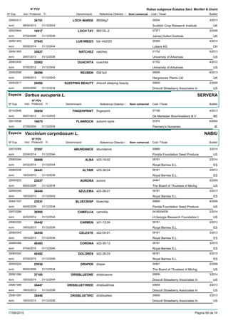 DenominacióNº Exp. Nom comercial Codi / Titular Butlletí
Nº POV
Inici Protecció Fi Referència Obtentor /
Rubus subgenus Eubatus Sect. Moriferi & Ursini
LOCH MAREE2006/0313 86506g7 00054
Scottish Crop Research Instituteeuro
3/201334751
08/04/2013 UK31/12/2043
LOCH TAY2002/0844 86510L-2 07377
James Hutton Instituteeuro
2/200616917
27/02/2006 UK31/12/2036
LUB MB2232009/1403 lub mb2/23 05369
Lubera AGeuro
4/201437943
05/05/2014 CH31/12/2044
NATCHEZ2009/1955 natchez 01752
University of Arkansaseuro
5/201335827
29/07/2013 US31/12/2038
OUACHITA2006/2430 ouachita 01752
University of Arkansaseuro
4/201232662
07/05/2012 US31/12/2042
REUBEN2009/2058 0541p3 05646
Hargreaves Plants Ltdeuro
6/201336096
23/09/2013 UK31/12/2043
SLEEPING BEAUTY2005/2517 driscoll sleeping beauty 00659
Driscoll Strawberry Associates Ineuro
2/200924096
23/02/2009 US31/12/2034
Especie Sorbus aucuparia L.
DenominacióNº Exp. Nom comercial Codi / Titular Butlletí
Nº POV
Inici Protecció Fi Referència Obtentor /
SERVERA
FINGERPRINT2010/2646 fingerprint 07168
De Martelaer Boomkwekerij B.V.euro
4/201335854
29/07/2013 BE31/12/2043
FLANROCK2001/0538 autumn spire 03374
Flannery's Nurserieseuro
6/200414075
27/09/2004 IE31/12/2034
Especie Vaccinium corymbosum L.
DenominacióNº Exp. Nom comercial Codi / Titular Butlletí
Nº POV
Inici Protecció Fi Referència Obtentor /
NABIU
ABUNDANCE2007/0368 abundance 00669
Florida Foundation Seed Produceeuro
3/201437097
22/04/2014 US31/12/2044
ALBA2008/0344 s03-19-02 06181
Royal Berries S.L.euro
2/201436999
24/02/2014 ES31/12/2044
ALTAIR2008/0338 s03-38-04 06181
Royal Berries S.L.euro
3/201334441
18/03/2013 ES31/12/2038
AURORA2005/0223 aurora 04947
The Board of Thustees of Michigeuro
2/200923937
09/02/2009 US31/12/2034
AZULEMA2008/0345 s03-38-01 06181
Royal Berries S.L.euro
3/201334444
18/03/2013 ES31/12/2043
BLUECRISP2004/1337 bluecrisp 00669
Florida Foundation Seed Produceeuro
4/200923931
04/05/2009 US31/12/2034
CAMELLIA2007/2299 camellia 04180/04539
U.Georgia Research Foundation Ieuro
2/201436995
24/02/2014 US31/12/2044
CARMEN2008/0339 s01-13-04 06181
Royal Berries S.L.euro
3/201334442
18/03/2013 ES31/12/2038
CELESTE2008/0343 s02-04-01 06181
Royal Berries S.L.euro
3/201334554
18/03/2013 ES31/12/2038
CORONA2008/0346 s02-30-12 06181
Royal Berries S.L.euro
3/201540493
07/04/2015 ES31/12/2045
DOLORES2008/0342 s02-26-03 06181
Royal Berries S.L.euro
3/201540492
07/04/2015 ES31/12/2045
DRAPER2005/0224 draper 04947
The Board of Thustees of Michigeuro
2/200923938
09/02/2009 US31/12/2034
DRISBLUEONE2008/1096 drisblueone 00659
Driscoll Strawberry Associates Ineuro
3/201437100
10/03/2014 US31/12/2044
DRISBLUETHREE2008/1098 drisbluethree 00659
Driscoll Strawberry Associates Ineuro
3/201334447
18/03/2013 US31/12/2038
DRISBLUETWO2008/1097 drisbluetwo 00659
Driscoll Strawberry Associates Ineuro
3/201334446
18/03/2013 US31/12/2038
17/08/2015 Pàgina 69 de 74
 