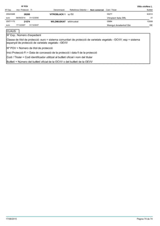 DenominacióNº Exp. Nom comercial Codi / Titular Butlletí
Nº POV
Inici Protecció Fi Referència Obtentor /
Vitis vinifera L.
VITROBLACK 12004/0488 vp f50 05277
Vitroplant Italia SRLeuro
6/201028208
06/09/2010 IT31/12/2040
WILDMUSKAT2007/1170 wildmuskat 05884
Weingut Amalienhof Gbreuro
1/200821574
17/12/2007 DE31/12/2037
Nº Exp.: Número d'expedient
Nº POV = Número de títol de protecció
Inici Protecció Fi = Data de concessió de la protecció i data fi de la protecció
Codi / Titular = Codi identificador utilitzat al butlletí oficial i nom del titular
Butlletí = Número del butlletí oficial de la OCVV o del butlletí de la OEVV
Classe de títol de protecció: euro = sistema comunitari de protecció de varietats vegetals - OCVV; esp = sistema
espanyol de protecció de varietats vegetals - OEVV
CLAUS:
17/08/2015 Pàgina 74 de 74
 