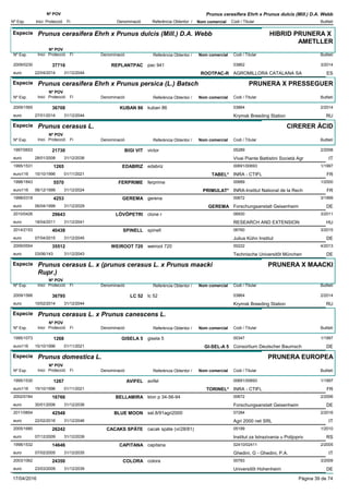 DenominacióNº Exp. Nom comercial Codi / Titular Butlletí
Nº POV
Inici Protecció Fi Referència Obtentor /
Prunus cerasifera Ehrh x Prunus dulcis (Mill.) D.A. Webb
Especie Prunus cerasifera Ehrh x Prunus dulcis (Mill.) D.A. Webb
DenominacióNº Exp. Nom comercial Codi / Titular Butlletí
Nº POV
Inici Protecció Fi Referència Obtentor /
HIBRID PRUNERA X
AMETLLER
REPLANTPAC2009/0230 pac 941 03862
AGROMILLORA CATALANA SAeuro
3/201437716
22/04/2014 ROOTPAC-R ES31/12/2044
Especie Prunus cerasifera Ehrh x Prunus persica (L.) Batsch
DenominacióNº Exp. Nom comercial Codi / Titular Butlletí
Nº POV
Inici Protecció Fi Referència Obtentor /
PRUNERA X PRESSEGUER
KUBAN 862009/1565 kuban 86 03864
Krymsk Breeding Stationeuro
2/201436708
27/01/2014 RU31/12/2044
Especie Prunus cerasus L.
DenominacióNº Exp. Nom comercial Codi / Titular Butlletí
Nº POV
Inici Protecció Fi Referència Obtentor /
CIRERER ÀCID
BIGI VIT1997/0653 victor 05289
Vivai Piante Battistini Società Agreuro
2/200821730
28/01/2008 IT31/12/2038
EDABRIZ1995/1531 edabriz 00691/00693
INRA - CTIFLeuro116
1/19971265
15/10/1996 TABEL* FR01/11/2021
FERPRIME1998/1843 ferprime 00689
INRA-Institut National de la Recheuro116
1/20005570
06/12/1999 PRIMULAT* FR31/12/2024
GEREMA1998/0318 gerena 00672
Forschungsanstalt Geisenheimeuro
3/19994253
06/04/1999 GEREMA DE31/12/2029
LÖVÖPETRI2010/0426 clone r 06930
RESEARCH AND EXTENSIONeuro
3/201129643
18/04/2011 HU31/12/2041
SPINELL2014/2153 spinell 06760
Julius Kühn Instituteuro
3/201540438
07/04/2015 DE31/12/2045
WEIROOT 7202009/0554 weiroot 720 00222
Technische Universitõt Müncheneuro
4/201335512
03/06/143 DE31/12/2043
Especie Prunus cerasus L. x (prunus cerasus L. x Prunus maacki
Rupr.)
DenominacióNº Exp. Nom comercial Codi / Titular Butlletí
Nº POV
Inici Protecció Fi Referència Obtentor /
PRUNERA X MAACKI
LC 522009/1566 lc 52 03864
Krymsk Breeding Stationeuro
2/201436795
10/02/2014 RU31/12/2044
Especie Prunus cerasus L. x Prunus canescens L.
DenominacióNº Exp. Nom comercial Codi / Titular Butlletí
Nº POV
Inici Protecció Fi Referència Obtentor /
GISELA 51995/1073 gisela 5 00347
Consortium Deutscher Baumscheuro116
1/19971268
15/10/1996 GI-SEL-A 5 DE01/11/2021
Especie Prunus domestica L.
DenominacióNº Exp. Nom comercial Codi / Titular Butlletí
Nº POV
Inici Protecció Fi Referència Obtentor /
PRUNERA EUROPEA
AVIFEL1995/1530 avifel 00691/00693
INRA - CTIFLeuro116
1/19971267
15/10/1996 TORINEL* FR01/11/2021
BELLAMIRA2002/0184 klon p 34-56-94 00672
Forschungsanstalt Geisenheimeuro
2/200616766
30/01/2006 DE31/12/2036
BLUE MOON2011/0854 sel.8/91agri2000 07284
Agri 2000 net SRLeuro
2/201642548
22/02/2016 IT31/12/2046
CACAKS SPÄTE2005/1680 cacak späte (vi/28/81) 05199
Institut za Istrazivania u Polijopriveuro
1/201026242
07/12/2009 RS31/12/2039
CAPITANA1998/1532 capitana 02410/02411
Ghedini, G - Ghedini, P.A.euro
2/200514646
07/02/2005 IT31/12/2035
COLORA2003/1062 colora 00783
Universitõt Hohenheimeuro
3/200924350
23/03/2009 DE31/12/2039
17/04/2016 Pàgina 39 de 74
 