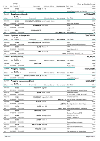 DenominacióNº Exp. Nom comercial Codi / Titular Butlletí
Nº POV
Inici Protecció Fi Referència Obtentor /
Citrus sp. (híbrids diversos)
TACLE2001/0156 A-146 03296
Istituto Sperimentale per l'Agrumieuro
2/200719035
22/01/2007 IT31/12/2037
Especie Corylus avellana L.
DenominacióNº Exp. Nom comercial Codi / Titular Butlletí
Nº POV
Inici Protecció Fi Referència Obtentor /
AVELLANER
ANNYS PURPLE DREAM2005/1830 anny's purple dream 05228
Andre Van Nijnatteneuro
2/200821880
11/02/2008 NL31/12/2038
RED BARON2005/2603 red baron 05286
Ludger Josteuro
4/200822218
05/05/2008 DE31/12/2038
RED MAJESTIC1999/1103 02586
New Variety BVeuro
6/20018210
10/09/2001 RED MAJESTIC NL31/12/2026
Especie Cydonia oblonga Mill
DenominacióNº Exp. Nom comercial Codi / Titular Butlletí
Nº POV
Inici Protecció Fi Referència Obtentor /
CODONYER
CYDORA ROBUSTA2003/0334 qe 13-38-89 00672
Forschungsanstalt Geisenheimeuro
2/200616769
30/01/2006 DE31/12/2036
ELINE2004/0587 fleuren-1 04595
Henri Fleuren B.V.euro
2/200924093
23/02/2009 NL31/12/2039
EMH2002/0700 qr 193-16 04662
East Malling Research Ltdeuro
4/200720100
21/05/2007 EMH UK31/12/2037
Especie Ficus carica L.
DenominacióNº Exp. Nom comercial Codi / Titular Butlletí
Nº POV
Inici Protecció Fi Referència Obtentor /
FIGUERA
VIOLETTA1997/0888 01804
Plattner Antoneuro
1/200412325
24/11/2003 DE01/01/2028
Especie Fragaria vesca L.
DenominacióNº Exp. Nom comercial Codi / Titular Butlletí
Nº POV
Inici Protecció Fi Referència Obtentor /
MADUIXETA
WEITGASSERII L NIVALIS2006/0345 leo alba 05342
Leopold Weitgassereuro
3/200719758
02/04/2007 AT31/12/2032
Especie Fragaria x ananassa Duch.
DenominacióNº Exp. Nom comercial Codi / Titular Butlletí
Nº POV
Inici Protecció Fi Referència Obtentor /
MADUIXOT
"VICTORY"2011/2352 bg-4315 03131
Berry Genetics Inc. Nelson Steveeuro
2/201436658
27/01/2014 US31/12/2039
ADRIA2003/1797 an94.153.51 02486/02487/02489/0
G. Baruzzi/W. Faedi/B. Mezzetti/euro
3/200719937
16/04/2007 IT31/12/2032
AGUEDILLA2005/1103 aguedilla (1-566) 01155/05118/05117/0
INIA_OTRI/AEViveristas Fresa/Freuro
2/200616921
27/02/2006 AGUEDILLA ES31/12/2031
ALBION2004/1482 cn220 00345
The Regents of the University ofeuro
4/200720099
21/05/2007 ALBION US31/12/2032
ALICE2000/0098 em 726 00010
Horticultural Research Internationeuro
2/200310574
10/02/2003 ALICE BIGI GB31/12/2028
AMANDINE2012/1035 da 47 03794
Darbonne Pepiniere SASeuro
2/201539519
09/02/2015 FR31/12/2040
AMIGA2006/2675 amiga (2-269) 02558/05116/01157/0
Viveros California SLeuro
1/200923764
17/12/2008 ES31/12/2033
ANTEA2005/2560 mle9-34 00127
Consorzio Italiano Vivaistieuro
3/200924363
23/03/2009 IT31/12/2034
ANTILLA FNM2008/1551 a3-10-8 05117
Fresas Nuevos Materialeseuro
2/201026579
25/01/2010 ES31/12/2035
AROMAS1997/1294 cn 209 00345
The Regents of the University ofeuro
5/20006451
03/07/2000 US31/12/2025
17/04/2016 Pàgina 8 de 74
 