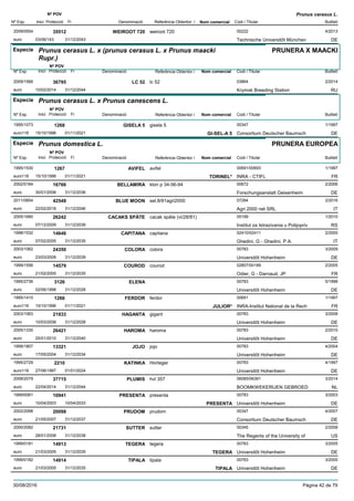 DenominacióNº Exp. Nom comercial Codi / Titular Butlletí
Nº POV
Inici Protecció Fi Referència Obtentor /
Prunus cerasus L.
WEIROOT 7202009/0554 weiroot 720 00222
Technische Universitõt Müncheneuro
4/201335512
03/06/143 DE31/12/2043
Especie Prunus cerasus L. x (prunus cerasus L. x Prunus maacki
Rupr.)
DenominacióNº Exp. Nom comercial Codi / Titular Butlletí
Nº POV
Inici Protecció Fi Referència Obtentor /
PRUNERA X MAACKI
LC 522009/1566 lc 52 03864
Krymsk Breeding Stationeuro
2/201436795
10/02/2014 RU31/12/2044
Especie Prunus cerasus L. x Prunus canescens L.
DenominacióNº Exp. Nom comercial Codi / Titular Butlletí
Nº POV
Inici Protecció Fi Referència Obtentor /
GISELA 51995/1073 gisela 5 00347
Consortium Deutscher Baumscheuro116
1/19971268
15/10/1996 GI-SEL-A 5 DE01/11/2021
Especie Prunus domestica L.
DenominacióNº Exp. Nom comercial Codi / Titular Butlletí
Nº POV
Inici Protecció Fi Referència Obtentor /
PRUNERA EUROPEA
AVIFEL1995/1530 avifel 00691/00693
INRA - CTIFLeuro116
1/19971267
15/10/1996 TORINEL* FR01/11/2021
BELLAMIRA2002/0184 klon p 34-56-94 00672
Forschungsanstalt Geisenheimeuro
2/200616766
30/01/2006 DE31/12/2036
BLUE MOON2011/0854 sel.8/91agri2000 07284
Agri 2000 net SRLeuro
2/201642548
22/02/2016 IT31/12/2046
CACAKS SPÄTE2005/1680 cacak späte (vi/28/81) 05199
Institut za Istrazivania u Polijopriveuro
1/201026242
07/12/2009 RS31/12/2039
CAPITANA1998/1532 capitana 02410/02411
Ghedini, G - Ghedini, P.A.euro
2/200514646
07/02/2005 IT31/12/2035
COLORA2003/1062 colora 00783
Universitõt Hohenheimeuro
3/200924350
23/03/2009 DE31/12/2039
COUROD1999/1556 courod 02807/00189
Odier, G - Darnaud, JPeuro
2/200514579
21/02/2005 FR31/12/2035
ELENA1995/2736 00783
Universitõt Hohenheimeuro
5/19983126
02/06/1998 DE31/12/2028
FERDOR1995/1410 ferdor 00691
INRA-Institut National de la Recheuro116
1/19971266
15/10/1996 JULIOR* FR01/11/2021
HAGANTA2003/1063 gigant 00783
Universitõt Hohenheimeuro
3/200821933
10/03/2008 DE31/12/2028
HAROMA2005/1330 haroma 00783
Universitõt Hohenheimeuro
2/201026421
25/01/2010 DE31/12/2040
JOJO1999/1807 jojo 00783
Universitõt Hohenheimeuro
4/200413321
17/05/2004 DE31/12/2034
KATINKA1995/2729 Horteger 00783
Universitõt Hohenheimeuro116
4/19972210
27/06/1997 DE01/01/2024
PLUMIS2008/2079 hvl 357 06085/06391
BOOMKWEKERIJEN GEBROEDeuro
3/201437715
22/04/2014 NL31/12/2044
PRESENTA1999/0061 presenta 00783
Universitõt Hohenheimeuro
3/200310941
10/04/2003 PRESENTA DE10/04/2033
PRUDOM2002/2098 prudom 00347
Consortium Deutscher Baumscheuro
4/200720098
21/05/2007 DE31/12/2037
SUTTER2000/2082 sutter 00345
The Regents of the University ofeuro
2/200821731
28/01/2008 US31/12/2038
TEGERA1999/0181 tegera 00783
Universitõt Hohenheimeuro
3/200514913
21/03/2005 TEGERA DE31/12/2035
TIPALA1999/0182 tipala 00783
Universitõt Hohenheimeuro
3/200514914
21/03/2005 TIPALA DE31/12/2035
30/08/2016 Pàgina 42 de 79
 