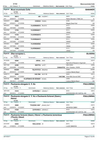 DenominacióNº Exp. Nom comercial Codi / Titular Butlletí
Nº POV
Inici Protecció Fi Referència Obtentor /
Musa acuminata Colla
Especie Musa acuminata Colla
DenominacióNº Exp. Nom comercial Codi / Titular Butlletí
Nº POV
Inici Protecció Fi Referència Obtentor /
BANANER
ADI2009/0344 rm22/44-1 06578
Rahan Meristem (1998) Ltd.euro
6/201438913
22/09/2014 IL31/12/2044
CHEEKA2008/2919 cheeka 04786
Magaly Zaias-Fasteuro
4/201129956
23/05/2011 US31/12/2036
FLHORBAN9162002/0537 flhor916 03112
CIRADeuro
5/200413753
19/07/2004 FR31/12/2034
FLHORBAN9172002/0538 03112
CIRADeuro
5/200413754
19/07/2004 FR31/12/2034
FLHORBAN9182002/0539 03112
CIRADeuro
5/200413755
19/07/2004 FR31/12/2034
FLHORBAN9192002/0540 03112
CIRADeuro
5/200413756
19/07/2004 FR31/12/2034
FLHORBAN9202002/0541 03112
CIRADeuro
5/200413757
19/07/2004 FR31/12/2034
FLHORBAN9212002/0542 03112
CIRADeuro
5/200413758
19/07/2004 FR31/12/2034
Especie Olea europaea L.
DenominacióNº Exp. Nom comercial Codi / Titular Butlletí
Nº POV
Inici Protecció Fi Referència Obtentor /
OLIVERA
ASKAL2010/0360 askal 01306
Agricultural Research Organisatieuro
3/201642690
07/03/2016 IL31/12/2046
SIKITITA2007/1040 uc-8-7 05851/05854
Univ. Córdoba - IFAPAeuro
3/200924380
23/03/2009 CHIQUITITA ES31/12/2039
TALAYOTICA20084839 talayotica ES940
Lorenzo Mestre Mayolesp
BOE98002685
25/04/2015 ES31/12/2044
VAS ONE2008/0715 ita-01-08 06230
Vivai Attilo Sonnoli SASeuro
2/201539504
09/02/2015 VAS ONE IT31/12/2045
VILAFRANCA DE BONANY20074739 bonany ES940
Lorenzo Mestre Mayolesp
1-2017002762
16/01/2017 ES31/12/2047
Especie Paulownia elongata S. Y. Hu
DenominacióNº Exp. Nom comercial Codi / Titular Butlletí
Nº POV
Inici Protecció Fi Referència Obtentor /
PAULOWNIA
COTEVISA 12007/1678 cotevisa 1 09134
INVERSIONES DE CAPITAL 200euro
3/201231619
05/03/2012 ES31/12/2042
Especie Paulownia elongata S. Y. Hu x Paulownia fortunei (Seem.)
Hemsl.
DenominacióNº Exp. Nom comercial Codi / Titular Butlletí
Nº POV
Inici Protecció Fi Referència Obtentor /
PAULOWNIA
"PHOENIX ONE"2012/2516 phoenix ntp-1 08783
WEGROW GMBHeuro
3/201539980
23/03/2015 DE31/12/2045
COTEVISA 22007/1679 cotevisa 2 09134
INVERSIONES DE CAPITAL 200euro
3/201231620
05/03/2012 ES31/12/2042
Especie Paulownia fortunei (Seem.) Hemsl. x Paulownia tomentosa
(Thunb.) Steud.
DenominacióNº Exp. Nom comercial Codi / Titular Butlletí
Nº POV
Inici Protecció Fi Referència Obtentor /
PAULOWNIA
WALLACHIA2013/1097 cfi 08172
LUCIE SMIDOVAeuro
3/201642852
21/03/2016 IE31/12/2046
29/10/2017 Pàgina 31 de 85
 