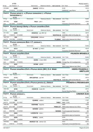 DenominacióNº Exp. Nom comercial Codi / Titular Butlletí
Nº POV
Inici Protecció Fi Referència Obtentor /
Prunus avium L.
ZAI89CZ2010/2862 89 05 cz 00189
DARNAUD, Jean-Pierreeuro
3/201642692
07/03/2016 FR31/12/2046
Especie Prunus avium L. x (Prunus canescens L. x Prunus
tormentosa L.)
DenominacióNº Exp. Nom comercial Codi / Titular Butlletí
Nº POV
Inici Protecció Fi Referència Obtentor /
PIKU12001/1462 piku1 03021
Consortium Deutscher Baumscheuro
1/200310246
18/11/2002 DE31/12/2032
Especie Prunus besseyi Bailey x Prunus cerasifera Ehrh.
DenominacióNº Exp. Nom comercial Codi / Titular Butlletí
Nº POV
Inici Protecció Fi Referència Obtentor /
DENSIPAC2011/1062 pac 9801-02 03862
AGROMILLORA CATALANA SAeuro
3/201642959
11/04/2016 ROOTPAC-20 ES31/12/2046
FERLENAIN1995/1409 ferlenain 00691
INRA-Institut National de la Recheuro116
1/19971264
15/10/1996 PLUMINA* FR01/04/2022
Especie Prunus canescens Bois × P. cerasus L.
DenominacióNº Exp. Nom comercial Codi / Titular Butlletí
Nº POV
Inici Protecció Fi Referència Obtentor /
GI 148132013/1854 gi 14813 00347
Consortium Deutscher Baumscheuro
2/201642314
25/01/2016 DE31/12/2046
Especie Prunus cerasifera Ehrh
DenominacióNº Exp. Nom comercial Codi / Titular Butlletí
Nº POV
Inici Protecció Fi Referència Obtentor /
PRUNERA MIRABOLÀ
ADARA1995/3027 ciruelo 29AD 00648
Consejo Sup. de Investigacioneseuro
4/20029572
17/06/2002 ADARA ES31/12/2032
GF29802014/1244 gf2980 00689
INRA-Institut National de la Recheuro
2/201539361
26/01/2015 FR31/12/2045
Especie Prunus cerasifera Ehrh x Prunus dulcis (Mill.) D.A. Webb
DenominacióNº Exp. Nom comercial Codi / Titular Butlletí
Nº POV
Inici Protecció Fi Referència Obtentor /
HIBRID PRUNERA X
AMETLLER
REPLANTPAC2009/0230 pac 941 03862
AGROMILLORA CATALANA SAeuro
3/201437716
22/04/2014 ROOTPAC-R ES31/12/2044
Especie Prunus cerasifera Ehrh x Prunus persica (L.) Batsch
DenominacióNº Exp. Nom comercial Codi / Titular Butlletí
Nº POV
Inici Protecció Fi Referència Obtentor /
PRUNERA X PRESSEGUER
KUBAN 862009/1565 kuban 86 03864
Krymsk Breeding Stationeuro
2/201436708
27/01/2014 RU31/12/2044
Especie Prunus cerasus L.
DenominacióNº Exp. Nom comercial Codi / Titular Butlletí
Nº POV
Inici Protecció Fi Referència Obtentor /
CIRERER ÀCID
EDABRIZ1995/1531 edabriz 00691/00693
INRA - CTIFLeuro116
1/19971265
15/10/1996 TABEL* FR01/11/2021
FERPRIME1998/1843 ferprime 00689
INRA-Institut National de la Recheuro116
1/20005570
06/12/1999 PRIMULAT* FR31/12/2024
GEREMA1998/0318 gerena 00672
Forschungsanstalt Geisenheimeuro
3/19994253
06/04/1999 GEREMA DE31/12/2029
LÖVÖPETRI2010/0426 clone r 06930
RESEARCH AND EXTENSIONeuro
3/201129643
18/04/2011 HU31/12/2041
SPINELL2014/2153 spinell 06760
Julius Kühn Instituteuro
3/201540438
07/04/2015 DE31/12/2045
WEIROOT 7202009/0554 weiroot 720 00222
Technische Universitõt Müncheneuro
4/201335512
03/06/143 DE31/12/2043
29/10/2017 Pàgina 43 de 85
 