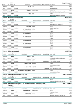 DenominacióNº Exp. Nom comercial Codi / Titular Butlletí
Nº POV
Inici Protecció Fi Referència Obtentor /
Mangifera indica L.
RA 172015/0347 ra/17 08706
Kenneth Raynereuro
2/201642352
25/1/2016 AU31/12/2046
SHELLY2006/0660 shelly (14/63) 04679/01306
Plants Production/ Agricultural Reuro
6/200721160
22/10/2007 IL31/12/2037
TALI2012/1891 40/45 01306
Agricultural Research Organisatioeuro
6/201438875
8/9/2014 IL31/12/2044
Especie Musa acuminata Colla
DenominacióNº Exp. Nom comercial Codi / Titular Butlletí
Nº POV
Inici Protecció Fi Referència Obtentor /
BANANER
ADI2009/0344 rm22/44-1 06578
Rahan Meristem (1998) Ltd.euro
6/201438913
22/9/2014 IL31/12/2044
CHEEKA2008/2919 cheeka 04786
Magaly Zaias-Fasteuro
4/201129956
23/5/2011 US31/12/2036
FLHORBAN9162002/0537 flhor916 03112
CIRADeuro
5/200413753
19/7/2004 FR31/12/2034
FLHORBAN9172002/0538 03112
CIRADeuro
5/200413754
19/7/2004 FR31/12/2034
FLHORBAN9182002/0539 03112
CIRADeuro
5/200413755
19/7/2004 FR31/12/2034
FLHORBAN9192002/0540 03112
CIRADeuro
5/200413756
19/7/2004 FR31/12/2034
FLHORBAN9202002/0541 03112
CIRADeuro
5/200413757
19/7/2004 FR31/12/2034
FLHORBAN9212002/0542 03112
CIRADeuro
5/200413758
19/7/2004 FR31/12/2034
Especie Olea europaea L.
DenominacióNº Exp. Nom comercial Codi / Titular Butlletí
Nº POV
Inici Protecció Fi Referència Obtentor /
OLIVERA
ASKAL2010/0360 askal 01306
Agricultural Research Organisatioeuro
3/201642690
7/3/2016 IL31/12/2046
SIKITITA2007/1040 uc-8-7 05851/05854
Univ. Córdoba - IFAPAeuro
3/200924380
23/3/2009 CHIQUITITA ES31/12/2039
TALAYOTICA20084839 talayotica ES940
Lorenzo Mestre Mayolesp
BOE98002685
25/4/2015 ES31/12/2044
VAS ONE2008/0715 ita-01-08 06230
Vivai Attilo Sonnoli SASeuro
2/201539504
9/2/2015 VAS ONE IT31/12/2045
VILAFRANCA DE BONANY20074739 bonany ES940
Lorenzo Mestre Mayolesp
1-2017002762
16/1/2017 ES31/12/2047
Especie Paulownia elongata S. Y. Hu
DenominacióNº Exp. Nom comercial Codi / Titular Butlletí
Nº POV
Inici Protecció Fi Referència Obtentor /
PAULOWNIA
COTEVISA 12007/1678 cotevisa 1 09134
INVERSIONES DE CAPITAL 200euro
3/201231619
5/3/2012 ES31/12/2042
Especie Paulownia elongata S. Y. Hu x Paulownia fortunei (Seem.)
Hemsl.
DenominacióNº Exp. Nom comercial Codi / Titular Butlletí
Nº POV
Inici Protecció Fi Referència Obtentor /
PAULOWNIA
"PHOENIX ONE"2012/2516 phoenix ntp-1 08783
WEGROW GMBHeuro
3/201539980
23/3/2015 DE31/12/2045
COTEVISA 22007/1679 cotevisa 2 09134
INVERSIONES DE CAPITAL 200euro
3/201231620
5/3/2012 ES31/12/2042
11/5/2018 Pàgina 32 de 87
 