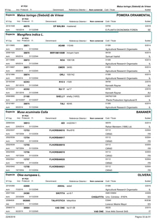DenominacióNº Exp. Nom comercial Codi / Titular Butlletí
Nº POV
Inici Protecció Fi Referència Obtentor /
Malus toringo (Siebold) de Vriese
Especie Malus toringo (Siebold) de Vriese
DenominacióNº Exp. Nom comercial Codi / Titular Butlletí
Nº POV
Inici Protecció Fi Referència Obtentor /
POMERA ORNAMENTAL
EP MALMA2015/1938 maskerad 03700
E-PLANTA EKONOMISK FORENeuro
3/201848578
19/3/2018 SE31/12/2048
Especie Mangifera indica L.
DenominacióNº Exp. Nom comercial Codi / Titular Butlletí
Nº POV
Inici Protecció Fi Referència Obtentor /
AGAM2011/0665 110/49 01306
Agricultural Research Organisatioeuro
6/201438871
8/9/2014 IL31/12/2044
MIRYAM HAIM2009/1525 miryam haim 06729
Samuel Vashdieuro
6/201438870
8/9/2014 IL31/12/2044
NOA2011/0666 109/136 01306
Agricultural Research Organisatioeuro
6/201438872
8/9/2014 IL31/12/2044
OMER2011/0667 34/83 01306
Agricultural Research Organisatioeuro
6/201438873
8/9/2014 IL31/12/2044
ORLI2012/1890 105/142 01306
Agricultural Research Organisatioeuro
6/201438874
8/9/2014 IL31/12/2044
R10 82015/0348 r10/8 08706
Kenneth Raynereuro
2/201642353
25/1/2016 AU31/12/2046
RA 172015/0347 ra/17 08706
Kenneth Raynereuro
2/201642352
25/1/2016 AU31/12/2046
SHELLY2006/0660 shelly (14/63) 04679/01306
Plants Production/ Agricultural Reuro
6/200721160
22/10/2007 IL31/12/2037
TALI2012/1891 40/45 01306
Agricultural Research Organisatioeuro
6/201438875
8/9/2014 IL31/12/2044
Especie Musa acuminata Colla
DenominacióNº Exp. Nom comercial Codi / Titular Butlletí
Nº POV
Inici Protecció Fi Referència Obtentor /
BANANER
ADI2009/0344 rm22/44-1 06578
Rahan Meristem (1998) Ltd.euro
6/201438913
22/9/2014 IL31/12/2044
FLHORBAN9162002/0537 flhor916 03112
CIRADeuro
5/200413753
19/7/2004 FR31/12/2034
FLHORBAN9172002/0538 03112
CIRADeuro
5/200413754
19/7/2004 FR31/12/2034
FLHORBAN9182002/0539 03112
CIRADeuro
5/200413755
19/7/2004 FR31/12/2034
FLHORBAN9192002/0540 03112
CIRADeuro
5/200413756
19/7/2004 FR31/12/2034
FLHORBAN9202002/0541 03112
CIRADeuro
5/200413757
19/7/2004 FR31/12/2034
FLHORBAN9212002/0542 03112
CIRADeuro
5/200413758
19/7/2004 FR31/12/2034
Especie Olea europaea L.
DenominacióNº Exp. Nom comercial Codi / Titular Butlletí
Nº POV
Inici Protecció Fi Referència Obtentor /
OLIVERA
ASKAL2010/0360 askal 01306
Agricultural Research Organisatioeuro
3/201642690
7/3/2016 IL31/12/2046
SIKITITA2007/1040 uc-8-7 05851/05854
Univ. Córdoba - IFAPAeuro
3/200924380
23/3/2009 CHIQUITITA ES31/12/2039
TALAYOTICA20084839 talayotica ES940
Lorenzo Mestre Mayolesp
BOE98002685
25/4/2015 ES31/12/2044
VAS ONE2008/0715 ita-01-08 06230
Vivai Attilo Sonnoli SASeuro
2/201539504
9/2/2015 VAS ONE IT31/12/2045
22/8/2018 Pàgina 33 de 91
 