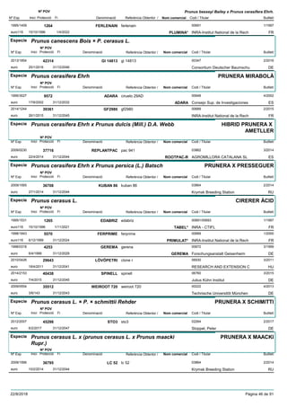 DenominacióNº Exp. Nom comercial Codi / Titular Butlletí
Nº POV
Inici Protecció Fi Referència Obtentor /
Prunus besseyi Bailey x Prunus cerasifera Ehrh.
FERLENAIN1995/1409 ferlenain 00691
INRA-Institut National de la Recheuro116
1/19971264
15/10/1996 PLUMINA* FR1/4/2022
Especie Prunus canescens Bois × P. cerasus L.
DenominacióNº Exp. Nom comercial Codi / Titular Butlletí
Nº POV
Inici Protecció Fi Referència Obtentor /
GI 148132013/1854 gi 14813 00347
Consortium Deutscher Baumschueuro
2/201642314
25/1/2016 DE31/12/2046
Especie Prunus cerasifera Ehrh
DenominacióNº Exp. Nom comercial Codi / Titular Butlletí
Nº POV
Inici Protecció Fi Referència Obtentor /
PRUNERA MIRABOLÀ
ADARA1995/3027 ciruelo 29AD 00648
Consejo Sup. de Investigacioneseuro
4/20029572
17/6/2002 ADARA ES31/12/2032
GF29802014/1244 gf2980 00689
INRA-Institut National de la Recheuro
2/201539361
26/1/2015 FR31/12/2045
Especie Prunus cerasifera Ehrh x Prunus dulcis (Mill.) D.A. Webb
DenominacióNº Exp. Nom comercial Codi / Titular Butlletí
Nº POV
Inici Protecció Fi Referència Obtentor /
HIBRID PRUNERA X
AMETLLER
REPLANTPAC2009/0230 pac 941 03862
AGROMILLORA CATALANA SLeuro
3/201437716
22/4/2014 ROOTPAC-R ES31/12/2044
Especie Prunus cerasifera Ehrh x Prunus persica (L.) Batsch
DenominacióNº Exp. Nom comercial Codi / Titular Butlletí
Nº POV
Inici Protecció Fi Referència Obtentor /
PRUNERA X PRESSEGUER
KUBAN 862009/1565 kuban 86 03864
Krymsk Breeding Stationeuro
2/201436708
27/1/2014 RU31/12/2044
Especie Prunus cerasus L.
DenominacióNº Exp. Nom comercial Codi / Titular Butlletí
Nº POV
Inici Protecció Fi Referència Obtentor /
CIRERER ÀCID
EDABRIZ1995/1531 edabriz 00691/00693
INRA - CTIFLeuro116
1/19971265
15/10/1996 TABEL* FR1/11/2021
FERPRIME1998/1843 ferprime 00689
INRA-Institut National de la Recheuro116
1/20005570
6/12/1999 PRIMULAT* FR31/12/2024
GEREMA1998/0318 gerena 00672
Forschungsanstalt Geisenheimeuro
3/19994253
6/4/1999 GEREMA DE31/12/2029
LÖVÖPETRI2010/0426 clone r 06930
RESEARCH AND EXTENSION Ceuro
3/201129643
18/4/2011 HU31/12/2041
SPINELL2014/2153 spinell 06760
Julius Kühn Instituteuro
3/201540438
7/4/2015 DE31/12/2045
WEIROOT 7202009/0554 weiroot 720 00222
Technische Universitõt Müncheneuro
4/201335512
3/6/143 DE31/12/2043
Especie Prunus cerasus L. × P. × schmittii Rehder
DenominacióNº Exp. Nom comercial Codi / Titular Butlletí
Nº POV
Inici Protecció Fi Referència Obtentor /
PRUNERA X SCHIMITTI
STO32012/2007 sto3 02264
Stoppel, Petereuro
2/201745298
6/2/2017 DE31/12/2047
Especie Prunus cerasus L. x (prunus cerasus L. x Prunus maacki
Rupr.)
DenominacióNº Exp. Nom comercial Codi / Titular Butlletí
Nº POV
Inici Protecció Fi Referència Obtentor /
PRUNERA X MAACKI
LC 522009/1566 lc 52 03864
Krymsk Breeding Stationeuro
2/201436795
10/2/2014 RU31/12/2044
22/8/2018 Pàgina 46 de 91
 