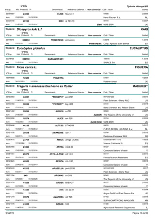 DenominacióNº Exp. Nom comercial Codi / Titular Butlletí
Nº POV
Inici Protecció Fi Referència Obtentor /
Cydonia oblonga Mill
ELINE2004/0587 fleuren-1 04595
Henri Fleuren B.V.euro
2/200924093
23/2/2009 NL31/12/2039
EMH2002/0700 qr 193-16 09154
NIAB EMReuro
4/200720100
21/5/2007 EMH UK31/12/2037
Especie Diospyros kaki L.f.
DenominacióNº Exp. Nom comercial Codi / Titular Butlletí
Nº POV
Inici Protecció Fi Referència Obtentor /
KAKI
PRIMERENC20114979 primerenc ES978
Coop. Agrícola Sant Bernatesp
1-2019002853
5/2/2019 PRIMARENC ES31/12/2049
Especie Eucalyptus globulus
DenominacióNº Exp. Nom comercial Codi / Titular Butlletí
Nº POV
Inici Protecció Fi Referència Obtentor /
EUCALIPTUS
CABANZON 28120074738 100916
SNIACE SAesp
1-2018002798
21/2/2018 ES31/12/2043
Especie Ficus carica L.
DenominacióNº Exp. Nom comercial Codi / Titular Butlletí
Nº POV
Inici Protecció Fi Referència Obtentor /
FIGUERA
VIOLETTA1997/0888 01804
Plattner Antoneuro
1/200412325
24/11/2003 DE1/1/2028
Especie Fragaria × ananassa Duchesne ex Rozier
DenominacióNº Exp. Nom comercial Codi / Titular Butlletí
Nº POV
Inici Protecció Fi Referència Obtentor /
MADUIXOT
"TRIUMPH"2012/2803 pe-3221 00743/01203
Plant Sciences - Berry R&Deuro
3/201643031
11/4/2016 US31/12/2041
"VICTORY"2011/2352 bg-4315 03131
Berry Genetics Inc. Nelson Steveeuro
2/201436658
27/1/2014 US31/12/2039
ALBION2004/1482 cn220 00345
The Regents of the University ofeuro
4/200720099
21/5/2007 ALBION US31/12/2032
ALICE2000/0098 em 726 09154
NIAB EMReuro
2/200310574
10/2/2003 ALICE BIGI UK31/12/2028
ALTESS2013/0898 07-96-04 09076
FLEVO BERRY HOLDING B.V.euro
3/201746239
18/4/2017 NL31/12/2042
AMANDINE2012/1035 da 47 03794
Darbonne Pepiniere SASeuro
2/201539519
9/2/2015 FR31/12/2040
AMIGA2006/2675 amiga (2-269) 02558/05116/01157/0
Viveros California SLeuro
1/200923764
17/12/2008 ES31/12/2033
ANTEA2005/2560 mle9-34 00127
Consorzio Italiano Vivaistieuro
3/200924363
23/3/2009 IT31/12/2034
ANTILLA FNM2008/1551 a3-10-8 05117
Fresas Nuevos Materialeseuro
2/201026579
25/1/2010 ES31/12/2035
APRICA2014/3624 z6x1-30 00127
Consorzio Italiano Vivaistieuro
3/201848963
23/4/2018 IT31/12/2043
ARABELLA2014/0229 pe-6.2036 00743/01203
Plant Sciences - Berry R&Deuro
2201745313
6/2/2017 US31/12/2042
AROMAS1997/1294 cn 209 00345
The Regents of the University ofeuro
5/20006451
3/7/2000 US31/12/2025
AROSA2001/1474 B1E9-27 00127
Consorzio Italiano Vivaistieuro
2/200514559
24/1/2005 IT31/12/2030
AVA2001/0152 asf 22:07 03292
Angus Soft Fruit East Seaton Fareuro
4/200413335
17/5/2004 UK31/12/2034
AVAROSA2012/1249 asf 126 07182
SUPHACHATWONG INNOVATIeuro
3/201540672
20/4/2015 YH31/12/2040
BARAK2012/1876 946 01306
Agricultural Research Organisatioeuro
3/201643028
11/4/2016 IL31/12/2041
9/3/2019 Pàgina 10 de 93
 