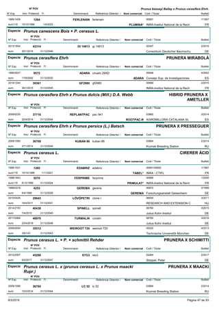 DenominacióNº Exp. Nom comercial Codi / Titular Butlletí
Nº POV
Inici Protecció Fi Referència Obtentor /
Prunus besseyi Bailey x Prunus cerasifera Ehrh.
FERLENAIN1995/1409 ferlenain 00691
INRA-Institut National de la Recheuro116
1/19971264
15/10/1996 PLUMINA* FR1/4/2022
Especie Prunus canescens Bois × P. cerasus L.
DenominacióNº Exp. Nom comercial Codi / Titular Butlletí
Nº POV
Inici Protecció Fi Referència Obtentor /
GI 148132013/1854 gi 14813 00347
Consortium Deutscher Baumschueuro
2/201642314
25/1/2016 DE31/12/2046
Especie Prunus cerasifera Ehrh
DenominacióNº Exp. Nom comercial Codi / Titular Butlletí
Nº POV
Inici Protecció Fi Referència Obtentor /
PRUNERA MIRABOLÀ
ADARA1995/3027 ciruelo 29AD 00648
Consejo Sup. de Investigacioneseuro
4/20029572
17/6/2002 ADARA ES31/12/2032
GF29802014/1244 gf2980 00689
INRA-Institut National de la Recheuro
2/201539361
26/1/2015 FR31/12/2045
Especie Prunus cerasifera Ehrh x Prunus dulcis (Mill.) D.A. Webb
DenominacióNº Exp. Nom comercial Codi / Titular Butlletí
Nº POV
Inici Protecció Fi Referència Obtentor /
HIBRID PRUNERA X
AMETLLER
REPLANTPAC2009/0230 pac 941 03862
AGROMILLORA CATALANA SLeuro
3/201437716
22/4/2014 ROOTPAC-R ES31/12/2044
Especie Prunus cerasifera Ehrh x Prunus persica (L.) Batsch
DenominacióNº Exp. Nom comercial Codi / Titular Butlletí
Nº POV
Inici Protecció Fi Referència Obtentor /
PRUNERA X PRESSEGUER
KUBAN 862009/1565 kuban 86 03864
Krymsk Breeding Stationeuro
2/201436708
27/1/2014 RU31/12/2044
Especie Prunus cerasus L.
DenominacióNº Exp. Nom comercial Codi / Titular Butlletí
Nº POV
Inici Protecció Fi Referència Obtentor /
CIRERER ÀCID
EDABRIZ1995/1531 edabriz 00691/00693
INRA - CTIFLeuro116
1/19971265
15/10/1996 TABEL* FR1/11/2021
FERPRIME1998/1843 ferprime 00689
INRA-Institut National de la Recheuro116
1/20005570
6/12/1999 PRIMULAT* FR31/12/2024
GEREMA1998/0318 gerena 00672
Forschungsanstalt Geisenheimeuro
3/19994253
6/4/1999 GEREMA DE31/12/2029
LÖVÖPETRI2010/0426 clone r 06930
RESEARCH AND EXTENSION Ceuro
3/201129643
18/4/2011 HU31/12/2041
SPINELL2014/2153 spinell 06760
Julius Kühn Instituteuro
3/201540438
7/4/2015 DE31/12/2045
TURMALIN2017/0568 coralin 06760
Julius Kühn Instituteuro
3/201848970
23/4/2018 DE31/12/2048
WEIROOT 7202009/0554 weiroot 720 00222
Technische Universitõt Müncheneuro
4/201335512
3/6/143 DE31/12/2043
Especie Prunus cerasus L. × P. × schmittii Rehder
DenominacióNº Exp. Nom comercial Codi / Titular Butlletí
Nº POV
Inici Protecció Fi Referència Obtentor /
PRUNERA X SCHIMITTI
STO32012/2007 sto3 02264
Stoppel, Petereuro
2/201745298
6/2/2017 DE31/12/2047
Especie Prunus cerasus L. x (prunus cerasus L. x Prunus maacki
Rupr.)
DenominacióNº Exp. Nom comercial Codi / Titular Butlletí
Nº POV
Inici Protecció Fi Referència Obtentor /
PRUNERA X MAACKI
LC 522009/1566 lc 52 03864
Krymsk Breeding Stationeuro
2/201436795
10/2/2014 RU31/12/2044
9/3/2019 Pàgina 47 de 93
 