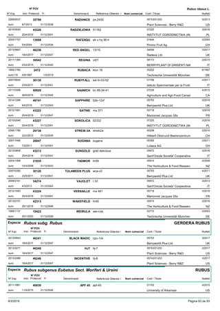 DenominacióNº Exp. Nom comercial Codi / Titular Butlletí
Nº POV
Inici Protecció Fi Referència Obtentor /
Rubus idaeus L.
RADIANCE2009/0537 ps-2430 00743/01203
Plant Sciences - Berry R&Deuro
5/201335799
8/7/2013 US31/12/2038
RADZIEJOWA2015/0045 01162 07220
INSTYTUT OGRODNICTWA (INeuro
3/201643226
25/4/2016 PL31/12/2041
RAFZAQU2000/1707 ab x hq 90-h 01644
Promo Fruit Ag.euro
3/200413008
5/4/2004 CH31/12/2034
RED ANGEL2013/0667 13/10 04056
Redeva Ltd.euro
3/201746238
18/4/2017 UK31/12/2047
REGINA2011/1395 vr01 09173
BERRYPLANT DI GRISENTI MAeuro
2/201539542
23/2/2015 IT31/12/2040
RUBACA1995/1760 klon 18 00222
Technische Universitõt Müncheneuro116
6/19972472
4/9/1997 DE1/5/2019
RUBYFALL2007/0644 sel tn-03-52 01758
Istituto Sperimentale per la Fruttieuro
4/201130130
23/5/2011 IT31/12/2041
SAANICH2011/0399 bc 89-34-41 07239
Agriculture and Agri-Food Canadeuro
4/201540926
26/5/2015 CA31/12/2045
SAPPHIRE2014/1286 bdb-12vf 05753
Berryworld Plus Ltdeuro
3/201848741
9/4/2018 UK31/12/2043
SATINE2012/1991 ma 371 00718
Marionnet Jacques Gfaeuro
3/201643222
25/4/2016 FR31/12/2041
SOKOLICA2015/0046 02332 07220
INSTYTUT OGRODNICTWA (INeuro
3/201643227
25/4/2016 PL31/12/2041
STREIB 2A2006/1766 streib2a 00258
Hõberli Obst-und Beerenzentrumeuro
2/201026738
22/2/2010 CH31/12/2035
SUGANA2007/1466 sugana 05369
Lubera AGeuro
2/201128847
7/2/2011 CH31/12/2041
SUNGOLD2012/0808 gold delicious 05972
Sant'Orsola Societa' Cooperativaeuro
3/201643213
25/4/2016 IT31/12/2041
TADMOR2003/1068 hr59 00915
The Horticulture & Food Researceuro
3/200821935
10/3/2008 NZ31/12/2033
TULAMEEN PLUS2007/0392 wca-v2 05753
Berryworld Plus Ltdeuro
4/201130126
23/5/2011 UK31/12/2041
VAJOLET2009/2161 t 33 05972
Sant'Orsola Societa' Cooperativaeuro
3/201334274
4/3/2013 IT31/12/2043
VERSAILLE2012/1993 ma 481 00718
Marionnet Jacques Gfaeuro
3/201643224
25/4/2016 FR31/12/2041
WAKEFIELD2013/0151 hr40 00915
The Horticulture & Food Researceuro
2/201642313
25/1/2016 NZ31/12/2046
WEIRULA1999/1137 wei-rula 02710
Technische Universität Müncheneuro
2/200310423
20/1/2003 DE31/12/2028
Especie Rubus subg. Rubus
DenominacióNº Exp. Nom comercial Codi / Titular Butlletí
Nº POV
Inici Protecció Fi Referència Obtentor /
GERDERA RUBUS
BLACK MAGIC2013/0943 cpc-1vb 05753
Berryworld Plus Ltdeuro
3/201746241
18/4/2017 UK31/12/2047
HJ72013/3271 hj-7 00743/01203
Plant Sciences - Berry R&Deuro
3/201746249
18/4/2017 US31/12/2047
INCENTIVE2013/2486 hj-6 00743/01203
Plant Sciences - Berry R&Deuro
3/201746246
18/4/2017 US31/12/2047
Especie Rubus subgenus Eubatus Sect. Moriferi & Ursini
DenominacióNº Exp. Nom comercial Codi / Titular Butlletí
Nº POV
Inici Protecció Fi Referència Obtentor /
RUBUS
APF 452011/1881 apf-45 01752
University of Arkansaseuro
4/201540830
11/5/2015 US31/12/2045
9/3/2019 Pàgina 83 de 93
 