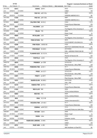 DenominacióNº Exp. Nom comercial Codi / Titular Butlletí
Nº POV
Inici Protecció Fi Referència Obtentor /
Fragaria × ananassa Duchesne ex Rozier
OSIRIS2013/1482 cf6781 05433
CIREFeuro
4/201643613
23/5/2016 FR31/12/2041
P0611032015/1653 p061103v 08847
VISSERS AMERICA B.V.euro
2/201951383
25/2/2019 NL31/12/2044
P0611052015/1654 p061105k 08847
VISSERS AMERICA B.V.euro
2/201951384
25/2/2019 NL31/12/2044
PALFRES FNM20155222 A8-30-2 ES924
Fresas Nuevos Materialesesp
1-2019002857
5/2/2019 ES31/12/2044
PALOMAR2007/1465 c221 00345
The Regents of the University ofeuro
2/201026557
25/1/2010 US31/12/2035
PELES2015/2934 759 06485
Efraim Yosefeuro
2/201951389
25/2/2019 IL31/12/2044
PETALUMA2014/3083 c231 00345
The Regents of the University ofeuro
3/201848955
23/4/2018 US31/12/2043
PINK EXTARA2012/0973 99j1 09076
FLEVO BERRY HOLDING B.V.euro
3/201540670
20/4/2015 NL31/12/2040
PINK ROSA2013/1696 t-04052-06 07220
INSTYTUT OGRODNICTWA (INeuro
2/201642546
22/2/2016 PL31/12/2041
PIRCINQUE2010/0648 04.228.5 06797/06944
CRA - AZIENDA PIRACCINI SEeuro
4/201335654
17/6/2013 IT31/12/2038
PLANASA 02322014/0534 02.13.214 00132
Plantas de Navarra SAeuro
5/201747337
17/7/2017 ES31/12/2042
PORTOLA2008/1505 cn224 00345
The Regents of the University ofeuro
1/201128654
17/12/2010 US31/12/2035
PREMIER2008/2152 pe-1209 00743/01203
Plant Sciences - Berry R&Deuro
1/201128676
17/12/2010 US31/12/2035
PRIMORIS FNM2008/1552 a3-54-1 05117
Fresas Nuevos Materialeseuro
2/201026580
25/1/2010 ES31/12/2035
PRIZE2014/0226 pe-3.211 00743/01203
Plant Sciences - Berry R&Deuro
2/201745310
6/2/2017 US31/12/2042
PS92712010/1332 ps-9271 00743/01203
Plant Sciences - Berry R&Deuro
3/201334281
4/3/2013 US31/12/2038
QUEEN ELISA2003/1550 94.568.2 06797/01869
CRA - FRFeuro
2/200616761
30/1/2006 IT31/12/2031
RABIDA FNM2013/2247 a8-16-2 05117
Fresas Nuevos Materialeseuro
2/201642316
25/1/2016 ES31/12/2041
RED CLEO2016/2105 955 09254
TOTAL WORLDFRESHeuro
2/201951393
25/2/2019 UK31/12/2044
RED RIO2016/2104 770 09254
TOTAL WORLDFRESHeuro
2/201950883
14/1/2019 UK31/12/2044
RINA1999/0872 VI 01-98 05221
Vissers International B.V.euro
5/20029930
12/8/2002 NL31/12/2027
ROCIERA FNM2015/1915 a10-48-3 05117
Fresas Nuevos Materialeseuro
3/201746254
18/4/2017 ES31/12/2042
ROMINA2011/1275 an99,78,51 07315
Università Politecnica delle Marceuro
3/201540664
20/4/2015 IT31/12/2040
ROTEMI2008/2801 rotemi 06485
Efraim Yosefeuro
2/201231417
23/1/2012 IL31/12/2037
RUBIA2003/1573 rubia 04362
Putfarken Jocheneuro
3/200413032
5/4/2004 DE31/12/2034
RUBIS DES JARDINS2009/1204 cf 3453 05433
CIREFeuro
6/201233540
8/10/2012 FR31/12/2037
RUBY ANN2014/2478 m 389 00984
ABZ Aardbeien uit Zaad B.V.euro
5/201849791
2/7/2018 NL31/12/2043
12/5/2019 Pàgina 20 de 97
 
