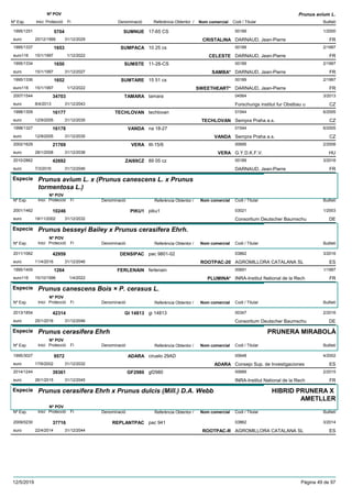 DenominacióNº Exp. Nom comercial Codi / Titular Butlletí
Nº POV
Inici Protecció Fi Referència Obtentor /
Prunus avium L.
SUMNUE1995/1251 17-65 CS 00189
DARNAUD, Jean-Pierreeuro
1/20005704
20/12/1999 CRISTALINA FR31/12/2029
SUMPACA1995/1337 10 25 cs 00189
DARNAUD, Jean-Pierreeuro116
2/19971653
15/1/1997 CELESTE FR1/12/2022
SUMSTE1995/1334 11-28-CS 00189
DARNAUD, Jean-Pierreeuro
2/19971650
15/1/1997 SAMBA* FR31/12/2027
SUMTARE1995/1336 15 51 cs 00189
DARNAUD, Jean-Pierreeuro116
2/19971652
15/1/1997 SWEETHEART* FR1/12/2022
TAMARA2007/1544 tamara 04564
Forschungs institut fur Obstbau ueuro
3/201334703
8/4/2013 CZ31/12/2043
TECHLOVAN1998/1309 techlovan 01544
Sempra Praha a.s.euro
6/200516177
12/9/2005 TECHLOVAN CZ31/12/2035
VANDA1998/1327 na 18-27 01544
Sempra Praha a.s.euro
6/200516178
12/9/2005 VANDA CZ31/12/2035
VERA2002/1629 III-15/6 00695
G.Y.D.K.F.V.euro
2/200821769
28/1/2008 VERA HU31/12/2038
ZAI89CZ2010/2862 89 05 cz 00189
DARNAUD, Jean-Pierreeuro
3/201642692
7/3/2016 FR31/12/2046
Especie Prunus avium L. x (Prunus canescens L. x Prunus
tormentosa L.)
DenominacióNº Exp. Nom comercial Codi / Titular Butlletí
Nº POV
Inici Protecció Fi Referència Obtentor /
PIKU12001/1462 piku1 03021
Consortium Deutscher Baumschueuro
1/200310246
18/11/2002 DE31/12/2032
Especie Prunus besseyi Bailey x Prunus cerasifera Ehrh.
DenominacióNº Exp. Nom comercial Codi / Titular Butlletí
Nº POV
Inici Protecció Fi Referència Obtentor /
DENSIPAC2011/1062 pac 9801-02 03862
AGROMILLORA CATALANA SLeuro
3/201642959
11/4/2016 ROOTPAC-20 ES31/12/2046
FERLENAIN1995/1409 ferlenain 00691
INRA-Institut National de la Recheuro116
1/19971264
15/10/1996 PLUMINA* FR1/4/2022
Especie Prunus canescens Bois × P. cerasus L.
DenominacióNº Exp. Nom comercial Codi / Titular Butlletí
Nº POV
Inici Protecció Fi Referència Obtentor /
GI 148132013/1854 gi 14813 00347
Consortium Deutscher Baumschueuro
2/201642314
25/1/2016 DE31/12/2046
Especie Prunus cerasifera Ehrh
DenominacióNº Exp. Nom comercial Codi / Titular Butlletí
Nº POV
Inici Protecció Fi Referència Obtentor /
PRUNERA MIRABOLÀ
ADARA1995/3027 ciruelo 29AD 00648
Consejo Sup. de Investigacioneseuro
4/20029572
17/6/2002 ADARA ES31/12/2032
GF29802014/1244 gf2980 00689
INRA-Institut National de la Recheuro
2/201539361
26/1/2015 FR31/12/2045
Especie Prunus cerasifera Ehrh x Prunus dulcis (Mill.) D.A. Webb
DenominacióNº Exp. Nom comercial Codi / Titular Butlletí
Nº POV
Inici Protecció Fi Referència Obtentor /
HIBRID PRUNERA X
AMETLLER
REPLANTPAC2009/0230 pac 941 03862
AGROMILLORA CATALANA SLeuro
3/201437716
22/4/2014 ROOTPAC-R ES31/12/2044
12/5/2019 Pàgina 49 de 97
 