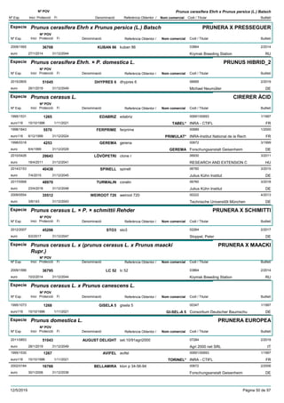 DenominacióNº Exp. Nom comercial Codi / Titular Butlletí
Nº POV
Inici Protecció Fi Referència Obtentor /
Prunus cerasifera Ehrh x Prunus persica (L.) Batsch
Especie Prunus cerasifera Ehrh x Prunus persica (L.) Batsch
DenominacióNº Exp. Nom comercial Codi / Titular Butlletí
Nº POV
Inici Protecció Fi Referència Obtentor /
PRUNERA X PRESSEGUER
KUBAN 862009/1565 kuban 86 03864
Krymsk Breeding Stationeuro
2/201436708
27/1/2014 RU31/12/2044
Especie Prunus cerasifera Ehrh. × P. domestica L.
DenominacióNº Exp. Nom comercial Codi / Titular Butlletí
Nº POV
Inici Protecció Fi Referència Obtentor /
PRUNUS HIBRID_2
DHYPRES 62015/2805 dhypres 6 06685
Michael Neumüllereuro
2/201951045
28/1/2019 DE31/12/2049
Especie Prunus cerasus L.
DenominacióNº Exp. Nom comercial Codi / Titular Butlletí
Nº POV
Inici Protecció Fi Referència Obtentor /
CIRERER ÀCID
EDABRIZ1995/1531 edabriz 00691/00693
INRA - CTIFLeuro116
1/19971265
15/10/1996 TABEL* FR1/11/2021
FERPRIME1998/1843 ferprime 00689
INRA-Institut National de la Recheuro116
1/20005570
6/12/1999 PRIMULAT* FR31/12/2024
GEREMA1998/0318 gerena 00672
Forschungsanstalt Geisenheimeuro
3/19994253
6/4/1999 GEREMA DE31/12/2029
LÖVÖPETRI2010/0426 clone r 06930
RESEARCH AND EXTENSION Ceuro
3/201129643
18/4/2011 HU31/12/2041
SPINELL2014/2153 spinell 06760
Julius Kühn Instituteuro
3/201540438
7/4/2015 DE31/12/2045
TURMALIN2017/0568 coralin 06760
Julius Kühn Instituteuro
3/201848970
23/4/2018 DE31/12/2048
WEIROOT 7202009/0554 weiroot 720 00222
Technische Universitõt Müncheneuro
4/201335512
3/6/143 DE31/12/2043
Especie Prunus cerasus L. × P. × schmittii Rehder
DenominacióNº Exp. Nom comercial Codi / Titular Butlletí
Nº POV
Inici Protecció Fi Referència Obtentor /
PRUNERA X SCHIMITTI
STO32012/2007 sto3 02264
Stoppel, Petereuro
2/201745298
6/2/2017 DE31/12/2047
Especie Prunus cerasus L. x (prunus cerasus L. x Prunus maacki
Rupr.)
DenominacióNº Exp. Nom comercial Codi / Titular Butlletí
Nº POV
Inici Protecció Fi Referència Obtentor /
PRUNERA X MAACKI
LC 522009/1566 lc 52 03864
Krymsk Breeding Stationeuro
2/201436795
10/2/2014 RU31/12/2044
Especie Prunus cerasus L. x Prunus canescens L.
DenominacióNº Exp. Nom comercial Codi / Titular Butlletí
Nº POV
Inici Protecció Fi Referència Obtentor /
GISELA 51995/1073 gisela 5 00347
Consortium Deutscher Baumschueuro116
1/19971268
15/10/1996 GI-SEL-A 5 DE1/11/2021
Especie Prunus domestica L.
DenominacióNº Exp. Nom comercial Codi / Titular Butlletí
Nº POV
Inici Protecció Fi Referència Obtentor /
PRUNERA EUROPEA
AUGUST DELIGHT2011/0853 sel.10/91agri2000 07284
Agri 2000 net SRLeuro
2/201951043
28/1/2019 IT31/12/2049
AVIFEL1995/1530 avifel 00691/00693
INRA - CTIFLeuro116
1/19971267
15/10/1996 TORINEL* FR1/11/2021
BELLAMIRA2002/0184 klon p 34-56-94 00672
Forschungsanstalt Geisenheimeuro
2/200616766
30/1/2006 DE31/12/2036
12/5/2019 Pàgina 50 de 97
 