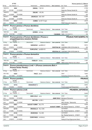 DenominacióNº Exp. Nom comercial Codi / Titular Butlletí
Nº POV
Inici Protecció Fi Referència Obtentor /
Prunus persica (L.) Batsch
ZISESIL1995/0723 7 GE 30 00279
Selección Plantas Sevilla SLeuro
4/19994559
3/5/1999 ES31/12/2029
ZISILNE1998/0070 n.92.29z 00279
Selección Plantas Sevilla SLeuro
1/200717617
4/12/2006 ES31/12/2036
ZISUNCUA20024477 S4A 1547 00279
Selección Plantas Sevilla SLesp
5-2009002460
22/7/2009 ES31/12/2039
ZUMBA2013/3056 ha 547-14 ppb 04411
PSB Producción Vegetal SLeuro
2/201848357
19/2/2018 ES31/12/2048
Especie Prunus persica x Prunus davidiana
DenominacióNº Exp. Nom comercial Codi / Titular Butlletí
Nº POV
Inici Protecció Fi Referència Obtentor /
AVIMAG1995/1535 avimag 00691/00695
INRA - G.Y.D.K.F.V.euro116
1/19971270
15/10/1996 CADAMAN FR1/11/2021
Especie Prunus persica x Prunus davidiana) x Prunus x
amygdalopersica (weston) Rehder
DenominacióNº Exp. Nom comercial Codi / Titular Butlletí
Nº POV
Inici Protecció Fi Referència Obtentor /
PRUNUS PORTAEMPELTS
GREENPAC2006/2252 pac9904-01 03862
AGROMILLORA CATALANA SLeuro
4/201232795
21/5/2012 ROOTPAC-90 ES31/12/2042
PURPLEPAC2006/2253 pac9904-03 03862
AGROMILLORA CATALANA SLeuro
4/201232796
21/5/2012 ROOTPAC-70 ES31/12/2042
Especie Prunus persica x Prunus domestica
DenominacióNº Exp. Nom comercial Codi / Titular Butlletí
Nº POV
Inici Protecció Fi Referència Obtentor /
FERELEY1995/1536 fereley 00691
INRA-Institut National de la Recheuro116
1/19971271
15/10/1996 JASPI* FR1/11/2021
Especie Prunus pseudocerasus Lindl. × (Prunus canescens Bois ×
Prunus incisa Thunb.)
DenominacióNº Exp. Nom comercial Codi / Titular Butlletí
Nº POV
Inici Protecció Fi Referència Obtentor /
PIKU32001/1463 piku3 03021
Consortium Deutscher Baumschueuro
1/200310247
18/11/2002 DE31/12/2032
Especie Prunus pumila L.
DenominacióNº Exp. Nom comercial Codi / Titular Butlletí
Nº POV
Inici Protecció Fi Referència Obtentor /
PRUNUS
RHENOROOT 21995/3032 - 00672
Forschungsanstalt Geisenheimeuro
3/200310710
10/3/2003 DE10/3/2033
Especie Prunus salicina Lindl.
DenominacióNº Exp. Nom comercial Codi / Titular Butlletí
Nº POV
Inici Protecció Fi Referència Obtentor /
PRUNERA JAPONESA
ANNE GOLD1999/1392 anna 02787
Montanari Domenicoeuro
3/200515154
18/4/2005 ANNE GOLD IT31/12/2035
ARC PR42013/1042 pr 000-1 03945
ARC Infruitec - Nietvoorbijeuro
3/201848934
23/4/2018 ZA31/12/2048
AUGUST YUMMY2004/2637 26 p 775 00279/08287
Sel. Plantas Sevilla SL / STAR Feuro
3/200924827
20/4/2009 AUGUST YUMMY ES31/12/2039
BRAGIALLA2003/2465 35 p 1244 00279/08287
Sel. Plantas Sevilla SL / STAR Feuro
5/200823143
7/7/2008 ES31/12/2038
BRAROSSA2003/2466 13 p 598 00279/08287
Sel. Plantas Sevilla SL / STAR Feuro
5/200823144
7/7/2008 ES31/12/2038
CONSTANZA2005/1878 constanza 05236
Godoy & Puyol Agronomos Asocieuro
4/201335358
21/5/2013 CL31/12/2043
12/5/2019 Pàgina 76 de 97
 