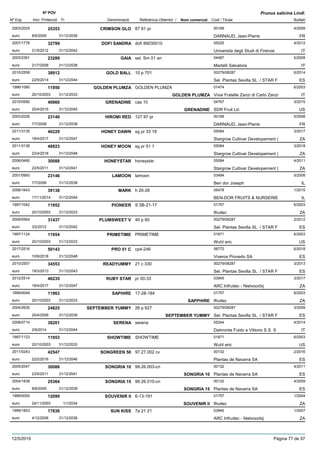 DenominacióNº Exp. Nom comercial Codi / Titular Butlletí
Nº POV
Inici Protecció Fi Referència Obtentor /
Prunus salicina Lindl.
CRIMSON GLO2003/2025 87 91 pr 00189
DARNAUD, Jean-Pierreeuro
4/200925353
8/6/2009 FR31/12/2039
DOFI SANDRA2007/1778 dofi 89030010 05225
Universita degli Studi di Firenzeeuro
4/201232799
21/5/2012 IT31/12/2042
GAIA2003/2391 sel. Sm 01 an 04487
Martelli Salvatoreeuro
5/200823289
21/7/2008 IT31/12/2038
GOLD BALL2010/2558 10 p 701 00279/08287
Sel. Plantas Sevilla SL / STAR Feuro
6/201438912
22/9/2014 ES31/12/2044
GOLDEN PLUMZA1996/1080 GOLDEN PLUMZA 01474
Vivai Fratelle Zanzi di Carlo Zanzieuro
6/200311950
20/10/2003 GOLDEN PLUMZA IT31/12/2033
GRENADINE2010/0590 cas 10 04767
SDR Fruit Llceuro
3/201540660
20/4/2015 GRENADINE US31/12/2045
HIROMI RED2003/2026 127 97 pr 00189
DARNAUD, Jean-Pierreeuro
5/200823140
7/7/2008 FR31/12/2038
HONEY DAWN2011/3135 sg pr 33 18 05084
Stargrow Cultivar Developement (euro
3/201746229
18/4/2017 ZA31/12/2047
HONEY MOON2011/3136 sg pr 51 1 05084
Stargrow Cultivar Developement (euro
3/201848923
23/4/2018 ZA31/12/2048
HONEYSTAR2006/0490 honeystar 05084
Stargrow Cultivar Developement (euro
4/201130088
23/5/2011 ZA31/12/2041
LAMOON2001/0993 lamoon 03494
Ben dor Josepheuro
5/200823146
7/7/2008 IL31/12/2038
MARK2006/1643 h 20-28 05478
BEN-DOR FRUITS & NURSERIEeuro
1/201539138
17/11/2014 IL31/12/2044
PIONEER1997/1042 S 5B-21-17 01757
Ifruiteceuro
6/200311952
20/10/2003 ZA31/12/2033
PLUMSWEET V2009/0564 40 p 60 00279/08287
Sel. Plantas Sevilla SL / STAR Feuro
2/201231437
3/2/2012 ES31/12/2042
PRIMETIME1997/1124 PRIMETIME 01871
Wuhl ericeuro
6/200311954
20/10/2003 US31/12/2033
PRO 51 C2017/2516 cp4-246 06772
Viveros Provedo SAeuro
6/201850143
10/9/2018 ES31/12/2048
READYUMMY2010/2557 21 c 330 00279/08287
Sel. Plantas Sevilla SL / STAR Feuro
3/201334553
18/3/2013 ES31/12/2043
RUBY STAR2012/2514 pr 00-33 03945
ARC Infruitec - Nietvoorbijeuro
3/201746235
18/4/2017 ZA31/12/2047
SAPHIRE1999/0049 17-28-184 01757
Ifruiteceuro
6/200311963
20/10/2003 SAPPHIRE ZA31/12/2033
SEPTEMBER YUMMY2004/2635 26 p 627 00279/08287
Sel. Plantas Sevilla SL / STAR Feuro
3/200924825
20/4/2009 SEPTEMBER YUMMY ES31/12/2039
SERENA2008/0714 serena 05244
Dalmonte Fuido e Vittorio S.S. Seuro
4/201438201
2/6/2014 IT31/12/2044
SHOWTIME1997/1123 SHOWTIME 01871
Wuhl ericeuro
6/200311953
20/10/2003 US31/12/2033
SONGREEN 502011/0243 97.27.002 cv 00132
Plantas de Navarra SAeuro
2/201642547
22/2/2016 ES31/12/2046
SONGRIA 102005/2047 99.26.003-cn 00132
Plantas de Navarra SAeuro
4/201130086
23/5/2011 SONGRIA 10 ES31/12/2041
SONGRIA 152004/1839 99.26.010-cn 00132
Plantas de Navarra SAeuro
4/200925364
8/6/2009 SONGRIA 15 ES31/12/2039
SOUVENIR II1999/0050 6-13-191 01757
Ifruiteceuro
1/200412099
24/11/2003 SOUVENIR II ZA1/1/2034
SUN KISS1999/1853 7a 21 21 03945
ARC Infruitec - Nietvoorbijeuro
1/200717836
4/12/2006 ZA31/12/2036
12/5/2019 Pàgina 77 de 97
 