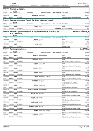 DenominacióNº Exp. Nom comercial Codi / Titular Butlletí
Nº POV
Inici Protecció Fi Referència Obtentor /
Prunus spinosa L.
Especie Prunus spinosa L.
DenominacióNº Exp. Nom comercial Codi / Titular Butlletí
Nº POV
Inici Protecció Fi Referència Obtentor /
WUR S7662012/1749 ppo-s766 06983
Stichting Dienst Landbouwkundigeuro
2/201745299
6/2/2017 NL31/12/2047
Especie Prunus tomentosa Thunb. Ex. Murr. x Prunus cerasif
DenominacióNº Exp. Nom comercial Codi / Titular Butlletí
Nº POV
Inici Protecció Fi Referència Obtentor /
VVA 12002/0762 vva-1 05536
Gennady EREMINeuro
4/200720097
21/5/2007 KRIMSK 1 RU31/12/2037
Especie Prunus x gondouinii (Poit. & Turpin) Rehder (P. Avium (L.) L.
X P. Cerasus L.)
DenominacióNº Exp. Nom comercial Codi / Titular Butlletí
Nº POV
Inici Protecció Fi Referència Obtentor /
PRUNUS HÍBRID_4
JACHIM2017/0569 jachim 06760
Julius Kühn Instituteuro
6/201747682
25/9/2017 DE31/12/2047
STO22012/0022 sto2 02264
Stoppel, Petereuro
2/201745297
6/2/2017 DE31/12/2047
Especie Punica granatum L.
DenominacióNº Exp. Nom comercial Codi / Titular Butlletí
Nº POV
Inici Protecció Fi Referència Obtentor /
MAGRANA
BEAUTY2010/0341 beautygranate 06914
Nir Ben Aharoneuro
6/201438876
8/9/2014 IL31/12/2044
CRUCIAL20135128 d2-26 ES996
IVIA-Cambayas Coop. Valencianesp
1-2018002800
20/2/2018 ES31/12/2048
EMEK2007/2597 emek (1/4) 01306
Agricultural Research Organisatioeuro
6/201438842
8/9/2014 IL31/12/2044
FIRE 1172013/0987 fr117 08028
AGROSENDA INTERNACIONALeuro
4/201849783
18/6/2018 ES31/12/2048
ILIANA20135130 h6-81 ES996
IVIA-Cambayas Coop. Valencianesp
1-2018002801
20/2/2018 ES31/12/2048
KAMEL2007/2596 kamel (p.g. 134-35) 01306
Agricultural Research Organisatioeuro
6/201438841
8/9/2014 IL31/12/2044
KINGDOM2013/3181 kingdom 08290
VIVEROS CALIPLANT S.L.euro
2/201745302
6/2/2017 ES31/12/2047
MR 1002013/3177 mollar roja 08290
VIVEROS CALIPLANT S.L.euro
2/201745301
6/2/2017 ES31/12/2047
PURPLE QUEEN2013/3179 purple queen 08290
VIVEROS CALIPLANT S.L.euro
4/201849181
7/5/2018 ES31/12/2048
RED PEARL2013/1208 rp-2211 08028
AGROSENDA INTERNACIONALeuro
3/201848935
23/4/2018 ES31/12/2048
RUGALATE20135129 h6-28 ES996
IVIA-Cambayas Coop. Valencianesp
1-2018002803
20/2/2018 ES31/12/2048
RUGALATE2018/1132 h6-28 09927/01157
CAMBAYAS COOPERATIVA VAeuro
2/201951133
11/2/2019 ES31/12/2049
SCARLET RED2013/1207 sr-015 08028
AGROSENDA INTERNACIONALeuro
4/201449784
18/6/2018 ES31/12/2048
SHANI2007/2598 shani (p.g. 130-31) 01306
Agricultural Research Organisatioeuro
6/201438843
8/9/2014 IL31/12/2044
TASTE M20135127 d1-14 ES996
IVIA-Cambayas Coop. Valencianesp
1-2018002804
20/2/2018 ES31/12/2048
12/5/2019 Pàgina 79 de 97
 