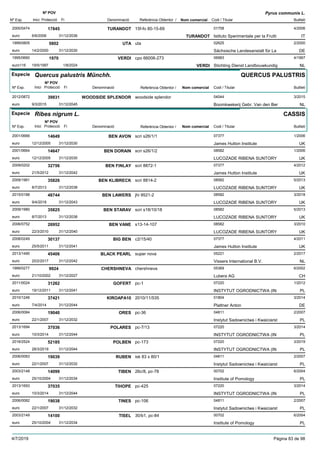 DenominacióNº Exp. Nom comercial Codi / Titular Butlletí
Nº POV
Inici Protecció Fi Referència Obtentor /
Pyrus communis L.
TURANDOT2000/0474 15f-fo 80-15-69 01758
Istituto Sperimentale per la Fruttieuro
4/200617845
6/6/2006 TURANDOT IT31/12/2036
UTA1999/0805 uta 02625
Sächsische Landesanstalt für Laeuro
2/20005802
14/2/2000 DE31/12/2030
VERDI1995/0660 cpo 66006-273 06983
Stichting Dienst Landbouwkundigeuro116
4/19971970
19/5/1997 VERDI NL1/8/2024
Especie Quercus palustris Münchh.
DenominacióNº Exp. Nom comercial Codi / Titular Butlletí
Nº POV
Inici Protecció Fi Referència Obtentor /
QUERCUS PALUSTRIS
WOODSIDE SPLENDOR2012/0872 woodside splendor 04044
Boomkwekerij Gebr. Van den Bereuro
3/201539831
9/3/2015 NL31/12/2045
Especie Ribes nigrum L.
DenominacióNº Exp. Nom comercial Codi / Titular Butlletí
Nº POV
Inici Protecció Fi Referència Obtentor /
CASSIS
BEN AVON2001/0666 scri s26/1/1 07377
James Hutton Instituteeuro
1/200614649
12/12/2005 UK31/12/2030
BEN DORAIN2001/0664 scri s26/1/2 08582
LUCOZADE RIBENA SUNTORYeuro
1/200614647
12/12/2005 UK31/12/2030
BEN FINLAY2009/0202 scri 8872-1 07377
James Hutton Instituteeuro
4/201232756
21/5/2012 UK31/12/2042
BEN KLIBRECK2009/1981 scri 8814-2 08582
LUCOZADE RIBENA SUNTORYeuro
5/201335826
8/7/2013 UK31/12/2038
BEN LAWERS2015/0188 jhi 9521-2 08582
LUCOZADE RIBENA SUNTORYeuro
3/201848744
9/4/2018 UK31/12/2043
BEN STARAV2009/1980 scri s18/10/18 08582
LUCOZADE RIBENA SUNTORYeuro
5/201335825
8/7/2013 UK31/12/2038
BEN VANE2006/0752 s13-14-107 08582
LUCOZADE RIBENA SUNTORYeuro
3/201026952
22/3/2010 UK31/12/2040
BIG BEN2008/0249 c2/15/40 07377
James Hutton Instituteeuro
4/201130137
25/5/2011 UK31/12/2041
BLACK PEARL2013/1490 super nova 05221
Vissers International B.V.euro
2/201745406
20/2/2017 NL31/12/2042
CHERSHNEVA1999/0277 chershneva 05369
Lubera AGeuro
6/20029924
21/10/2002 CH31/12/2027
GOFERT2011/0024 pc-1 07220
INSTYTUT OGRODNICTWA (INeuro
1/201231262
19/12/2011 PL31/12/2041
KIROAPA102010/1246 2010/11/535 01804
Plattner Antoneuro
3/201437421
7/4/2014 DE31/12/2044
ORES2006/0084 pc-36 04811
Instytut Sadownictwa i Kwaiciarsteuro
2/200719040
22/1/2007 PL31/12/2032
POLARES2013/1694 pc-7/13 07220
INSTYTUT OGRODNICTWA (INeuro
3/201437036
10/3/2014 PL31/12/2044
POLBEN2018/2524 pc-173 07220
INSTYTUT OGRODNICTWA (INeuro
3/201952185
28/3/2019 PL31/12/2044
RUBEN2006/0083 isk 83 x 80/1 04811
Instytut Sadownictwa i Kwaiciarsteuro
2/200719039
22/1/2007 PL31/12/2032
TIBEN2003/2148 26c/8, pc-78 00702
Institute of Pomologyeuro
6/200414099
25/10/2004 PL31/12/2034
TIHOPE2013/1693 pc-425 07220
INSTYTUT OGRODNICTWA (INeuro
3/201437035
10/3/2014 PL31/12/2044
TINES2006/0082 pc-106 04811
Instytut Sadownictwa i Kwaiciarsteuro
2/200719038
22/1/2007 PL31/12/2032
TISEL2003/2149 30/b1, pc-84 00702
Institute of Pomologyeuro
6/200414100
25/10/2004 PL31/12/2034
4/7/2019 Pàgina 83 de 98
 