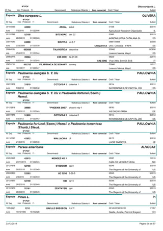 DenominacióNº Exp. Nom comercial Codi / Titular Butlletí
Nº POV
Inici Protecció Fi Referència Obtentor /
Olea europaea L.
Especie Olea europaea L.
DenominacióNº Exp. Nom comercial Codi / Titular Butlletí
Nº POV
Inici Protecció Fi Referència Obtentor /
OLIVERA
ASKAL2010/0360 askal 01306
Agricultural Research Organisatioeuro
3/201642690
7/3/2016 IL31/12/2046
BITSYOAC2012/1585 oac 22 03862
AGROMILLORA CATALANA SLeuro
3/201952158
28/3/2019 ES31/12/2049
SIKITITA2007/1040 uc-8-7 05851/05854
Univ. Córdoba - IFAPAeuro
3/200924380
23/3/2009 CHIQUITITA ES31/12/2039
TALAYOTICA20084839 talayotica ES940
Lorenzo Mestre Mayolesp
BOE98002685
25/4/2015 ES31/12/2044
VAS ONE2008/0715 ita-01-08 06230
Vivai Attilo Sonnoli SASeuro
2/201539504
9/2/2015 VAS ONE IT31/12/2045
VILAFRANCA DE BONANY20074739 bonany ES940
Lorenzo Mestre Mayolesp
1-2017002762
16/1/2017 ES31/12/2047
Especie Paulownia elongata S. Y. Hu
DenominacióNº Exp. Nom comercial Codi / Titular Butlletí
Nº POV
Inici Protecció Fi Referència Obtentor /
PAULOWNIA
COTEVISA 12007/1678 cotevisa 1 09134
INVERSIONES DE CAPITAL 200euro
3/201231619
5/3/2012 ES31/12/2042
Especie Paulownia elongata S. Y. Hu x Paulownia fortunei (Seem.)
Hemsl.
DenominacióNº Exp. Nom comercial Codi / Titular Butlletí
Nº POV
Inici Protecció Fi Referència Obtentor /
PAULOWNIA
"PHOENIX ONE"2012/2516 phoenix ntp-1 08783
WEGROW GMBHeuro
3/201539980
23/3/2015 DE31/12/2045
COTEVISA 22007/1679 cotevisa 2 09134
INVERSIONES DE CAPITAL 200euro
3/201231620
5/3/2012 ES31/12/2042
Especie Paulownia fortunei (Seem.) Hemsl. x Paulownia tomentosa
(Thunb.) Steud.
DenominacióNº Exp. Nom comercial Codi / Titular Butlletí
Nº POV
Inici Protecció Fi Referència Obtentor /
PAULOWNIA
WALLACHIA2013/1097 cfi 08172
LUCIE SMIDOVAeuro
3/201642852
21/3/2016 IE31/12/2046
Especie Persea americana
DenominacióNº Exp. Nom comercial Codi / Titular Butlletí
Nº POV
Inici Protecció Fi Referència Obtentor /
ALVOCAT
MENDEZ NO 12005/0925 05097
CARLOS MENDEZ VEGAeuro
1/201642015
23/11/2015 MX31/12/2045
STEDDOM2012/1978 pp24 00345
The Regents of the University ofeuro
3/201952160
28/3/2019 US31/12/2049
UC 32952003/0803 3-29-5 00345
The Regents of the University ofeuro
6/201953393
2/9/2019 US31/12/2049
UZI2012/1977 pp14 00345
The Regents of the University ofeuro
3/201952159
28/3/2019 US31/12/2049
ZENTMYER2012/1979 pp4 00345
The Regents of the University ofeuro
3/201952161
28/3/2019 US31/12/2049
Especie Pinus L.
DenominacióNº Exp. Nom comercial Codi / Titular Butlletí
Nº POV
Inici Protecció Fi Referència Obtentor /
PI
GAELLE BREGEON1995/2421 N.V.T. 06148/06149/06150
Gaelle, Aurelie, Pierrick Bregeoneuro
1/19971231
15/10/1996 CH15/10/2026
23/12/2019 Pàgina 36 de 97
 