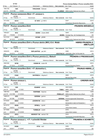 DenominacióNº Exp. Nom comercial Codi / Titular Butlletí
Nº POV
Inici Protecció Fi Referència Obtentor /
Prunus besseyi Bailey x Prunus cerasifera Ehrh.
FERLENAIN1995/1409 ferlenain 00691
INRA-Institut National de la Recheuro116
1/19971264
15/10/1996 PLUMINA* FR1/4/2022
Especie Prunus canescens Bois × P. cerasus L.
DenominacióNº Exp. Nom comercial Codi / Titular Butlletí
Nº POV
Inici Protecció Fi Referència Obtentor /
GI 148132013/1854 gi 14813 00347
Consortium Deutscher Baumschueuro
2/201642314
25/1/2016 DE31/12/2046
Especie Prunus cerasifera Ehrh
DenominacióNº Exp. Nom comercial Codi / Titular Butlletí
Nº POV
Inici Protecció Fi Referència Obtentor /
PRUNERA MIRABOLÀ
ADARA1995/3027 ciruelo 29AD 00648
Consejo Sup. de Investigacioneseuro
4/20029572
17/6/2002 ADARA ES31/12/2032
GF29802014/1244 gf2980 00689
INRA-Institut National de la Recheuro
2/201539361
26/1/2015 FR31/12/2045
Especie Prunus cerasifera Ehrh x Prunus dulcis (Mill.) D.A. Webb
DenominacióNº Exp. Nom comercial Codi / Titular Butlletí
Nº POV
Inici Protecció Fi Referència Obtentor /
HIBRID PRUNERA X
AMETLLER
REPLANTPAC2009/0230 pac 941 03862
AGROMILLORA CATALANA SLeuro
3/201437716
22/4/2014 ROOTPAC-R ES31/12/2044
Especie Prunus cerasifera Ehrh x Prunus persica (L.) Batsch
DenominacióNº Exp. Nom comercial Codi / Titular Butlletí
Nº POV
Inici Protecció Fi Referència Obtentor /
PRUNERA X PRESSEGUER
KUBAN 862009/1565 kuban 86 03864
Krymsk Breeding Stationeuro
2/201436708
27/1/2014 RU31/12/2044
Especie Prunus cerasifera Ehrh. × P. domestica L.
DenominacióNº Exp. Nom comercial Codi / Titular Butlletí
Nº POV
Inici Protecció Fi Referència Obtentor /
PRUNUS HIBRID_2
DHYPRES 62015/2805 dhypres 6 06685
Michael Neumüllereuro
2/201951045
28/1/2019 DE31/12/2049
Especie Prunus cerasus L.
DenominacióNº Exp. Nom comercial Codi / Titular Butlletí
Nº POV
Inici Protecció Fi Referència Obtentor /
CIRERER ÀCID
EDABRIZ1995/1531 edabriz 00691/00693
INRA - CTIFLeuro116
1/19971265
15/10/1996 TABEL* FR1/11/2021
FERPRIME1998/1843 ferprime 00689
INRA-Institut National de la Recheuro116
1/20005570
6/12/1999 PRIMULAT* FR31/12/2024
GEREMA1998/0318 gerena 00672
Forschungsanstalt Geisenheimeuro
3/19994253
6/4/1999 GEREMA DE31/12/2029
LÖVÖPETRI2010/0426 clone r 06930
RESEARCH AND EXTENSION Ceuro
3/201129643
18/4/2011 HU31/12/2041
SPINELL2014/2153 spinell 06760
Julius Kühn Instituteuro
3/201540438
7/4/2015 DE31/12/2045
TURMALIN2017/0568 coralin 06760
Julius Kühn Instituteuro
3/201848970
23/4/2018 DE31/12/2048
WEIROOT 7202009/0554 weiroot 720 00222
Technische Universitõt Müncheneuro
4/201335512
3/6/143 DE31/12/2043
Especie Prunus cerasus L. × P. × schmittii Rehder
DenominacióNº Exp. Nom comercial Codi / Titular Butlletí
Nº POV
Inici Protecció Fi Referència Obtentor /
PRUNERA X SCHIMITTI
STO32012/2007 sto3 02264
Stoppel, Petereuro
2/201745298
6/2/2017 DE31/12/2047
23/12/2019 Pàgina 49 de 97
 