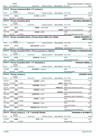 DenominacióNº Exp. Nom comercial Codi / Titular Butlletí
Nº POV
Inici Protecció Fi Referència Obtentor /
Prunus canescens Bois × P. cerasus L.
Especie Prunus canescens Bois × P. cerasus L.
DenominacióNº Exp. Nom comercial Codi / Titular Butlletí
Nº POV
Inici Protecció Fi Referència Obtentor /
GI 148132013/1854 gi 14813 00347
Consortium Deutscher Baumschueuro
2/201642314
25/1/2016 DE31/12/2046
Especie Prunus cerasifera Ehrh
DenominacióNº Exp. Nom comercial Codi / Titular Butlletí
Nº POV
Inici Protecció Fi Referència Obtentor /
PRUNERA MIRABOLÀ
ADARA1995/3027 ciruelo 29AD 00648
Consejo Sup. de Investigacioneseuro
4/20029572
17/6/2002 ADARA ES31/12/2032
GF29802014/1244 gf2980 00689
INRA-Institut National de la Recheuro
2/201539361
26/1/2015 FR31/12/2045
Especie Prunus cerasifera Ehrh x Prunus dulcis (Mill.) D.A. Webb
DenominacióNº Exp. Nom comercial Codi / Titular Butlletí
Nº POV
Inici Protecció Fi Referència Obtentor /
HIBRID PRUNERA X
AMETLLER
REPLANTPAC2009/0230 pac 941 03862
AGROMILLORA CATALANA SLeuro
3/201437716
22/4/2014 ROOTPAC-R ES31/12/2044
Especie Prunus cerasifera Ehrh x Prunus persica (L.) Batsch
DenominacióNº Exp. Nom comercial Codi / Titular Butlletí
Nº POV
Inici Protecció Fi Referència Obtentor /
PRUNERA X PRESSEGUER
KUBAN 862009/1565 kuban 86 03864
Krymsk Breeding Stationeuro
2/201436708
27/1/2014 RU31/12/2044
Especie Prunus cerasifera Ehrh. × P. domestica L.
DenominacióNº Exp. Nom comercial Codi / Titular Butlletí
Nº POV
Inici Protecció Fi Referència Obtentor /
PRUNUS HIBRID_2
DHYPRES 62015/2805 dhypres 6 06685
Michael Neumüllereuro
2/201951045
28/1/2019 DE31/12/2049
Especie Prunus cerasus L.
DenominacióNº Exp. Nom comercial Codi / Titular Butlletí
Nº POV
Inici Protecció Fi Referència Obtentor /
CIRERER ÀCID
EDABRIZ1995/1531 edabriz 00691/00693
INRA - CTIFLeuro116
1/19971265
15/10/1996 TABEL* FR1/11/2021
FERPRIME1998/1843 ferprime 00689
INRA-Institut National de la Recheuro116
1/20005570
6/12/1999 PRIMULAT* FR31/12/2024
GEREMA1998/0318 gerena 00672
Forschungsanstalt Geisenheimeuro
3/19994253
6/4/1999 GEREMA DE31/12/2029
LÖVÖPETRI2010/0426 clone r 06930
RESEARCH AND EXTENSION Ceuro
3/201129643
18/4/2011 HU31/12/2041
SPINELL2014/2153 spinell 06760
Julius Kühn Instituteuro
3/201540438
7/4/2015 DE31/12/2045
TURMALIN2017/0568 coralin 06760
Julius Kühn Instituteuro
3/201848970
23/4/2018 DE31/12/2048
WEIROOT 7202009/0554 weiroot 720 00222
Technische Universitõt Müncheneuro
4/201335512
3/6/143 DE31/12/2043
Especie Prunus cerasus L. × P. × schmittii Rehder
DenominacióNº Exp. Nom comercial Codi / Titular Butlletí
Nº POV
Inici Protecció Fi Referència Obtentor /
PRUNERA X SCHIMITTI
STO32012/2007 sto3 02264
Stoppel, Petereuro
2/201745298
6/2/2017 DE31/12/2047
7/3/2020 Pàgina 50 de 98
 