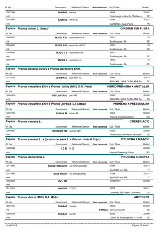 Nº Exp.                             Denominació       Referència Obtentor /   Nom comercial   Codi / Titular                       Butlletí

 2007/1544                             TAMARA tamara                                           04564                                5/2007
 euro                                                                                          Forschungs institut fur Obstbau u        CZ
 2010/2862                             ZAI89CZ 89 05 cz                                        00189                                1/2011
 euro                                                                                          DARNAUD, Jean-Pierre                     FR

Espècie Prunus avium L. (fusta)                                                                                 CIRERER PER FUSTA
Nº Exp.                              Denominació      Referència Obtentor /   Nom comercial    Codi / Titular                       Butlletí

 20054603                            MJGG A-01      eurocherry A-01                            ES923                                     95
 esp                                                                                           Eurobosques SA                           ES
 20054602                            MJGG B-15 eurocherry B-15                                 ES923                                     95
 esp                                                                                           Eurobosques SA                           ES
 20034495                             MJGG C-9 eurocherry c9                                   ES923
 esp                                                                                           Eurobosques SA                           ES
 20034494                              MJGG G       eurocherry g                               ES923                                     94
 esp                                                                                           Eurobosques SA                           ES

Espècie Prunus besseyi Bailey x Prunus cerasifera Ehrh.

Nº Exp.                              Denominació      Referència Obtentor /   Nom comercial    Codi / Titular                       Butlletí

 2011/1062                           DENSIPAC pac 9801-02                                      03862                                3/2011
 euro                                                                                          AGROMILLORA CATALANA SA                  ES

Espècie Prunus cerasifera Ehrh x Prunus dulcis (Mill.) D.A. Webb                              HIBRID PRUNERA X AMETLLER
Nº Exp.                              Denominació      Referència Obtentor /   Nom comercial    Codi / Titular                       Butlletí

 2009/0230                        REPLANTPAC pac 941                                           03862                                2/2009
 euro                                                                                          AGROMILLORA CATALANA SA                  ES

Espècie Prunus cerasifera Ehrh x Prunus persica (L.) Batsch                                         PRUNERA X PRESSEGUER
Nº Exp.                              Denominació      Referència Obtentor /   Nom comercial    Codi / Titular                       Butlletí

 2009/1565                           KUBAN 86 kuban 86                                         03864                                6/2009
 euro                                                                                          Krymsk Breeding Station                  RU

Espècie Prunus cerasus L.                                                                                            CIRERER ÀCID
Nº Exp.                              Denominació      Referència Obtentor /   Nom comercial    Codi / Titular                       Butlletí

 2009/0554                        WEIROOT 720       weiroot 720                                00222                                3/2009
 euro                                                                                          Technische Universitõt München           DE

Espècie Prunus cerasus L. x (prunus cerasus L. x Prunus maacki Rupr.)                                           PRUNERA X MAACKI
Nº Exp.                              Denominació      Referència Obtentor /   Nom comercial    Codi / Titular                       Butlletí

 2009/1566                                  LC 52 lc 52                                        03864                                6/2009
 euro                                                                                          Krymsk Breeding Station                  RU

Espècie Prunus domestica L.                                                                                     PRUNERA EUROPEA
Nº Exp.                              Denominació      Referència Obtentor /   Nom comercial    Codi / Titular                       Butlletí

 2011/0853                     AUGUST DELIGHT sel.10/91agri2000                                07284                                3/2011
 euro                                                                                          Agri 2000 net SRL                         IT
 2011/0854                         BLUE MOON sel.8/91agri2000                                  07284                                3/2011
 euro                                                                                          Agri 2000 net SRL                         IT
 2008/2079                                HVL 357                                              06085/06391                          6/2008
 euro
 2011/0913                             VANDOR v70032                                           02072                                3/2011
 euro                                                                                          University of Guelph - Business          CA

Espècie Prunus dulcis (Mill.) D.A. Webb                                                                                  AMETLLER
Nº Exp.                              Denominació      Referència Obtentor /   Nom comercial    Codi / Titular                       Butlletí

 20074764                                 DIAMAR mardia                                        ES936                                5-2007
 esp                                                                               MARDIA CITA ARAGON                                   ES
 2009/0306                                DIAMAR g-2-35                                        90042                                2/2009
 euro                                                                                          Centro de Investigación y Tecnol         ES


24/06/2012                                                                                                            Pàgina 21 de 45
 